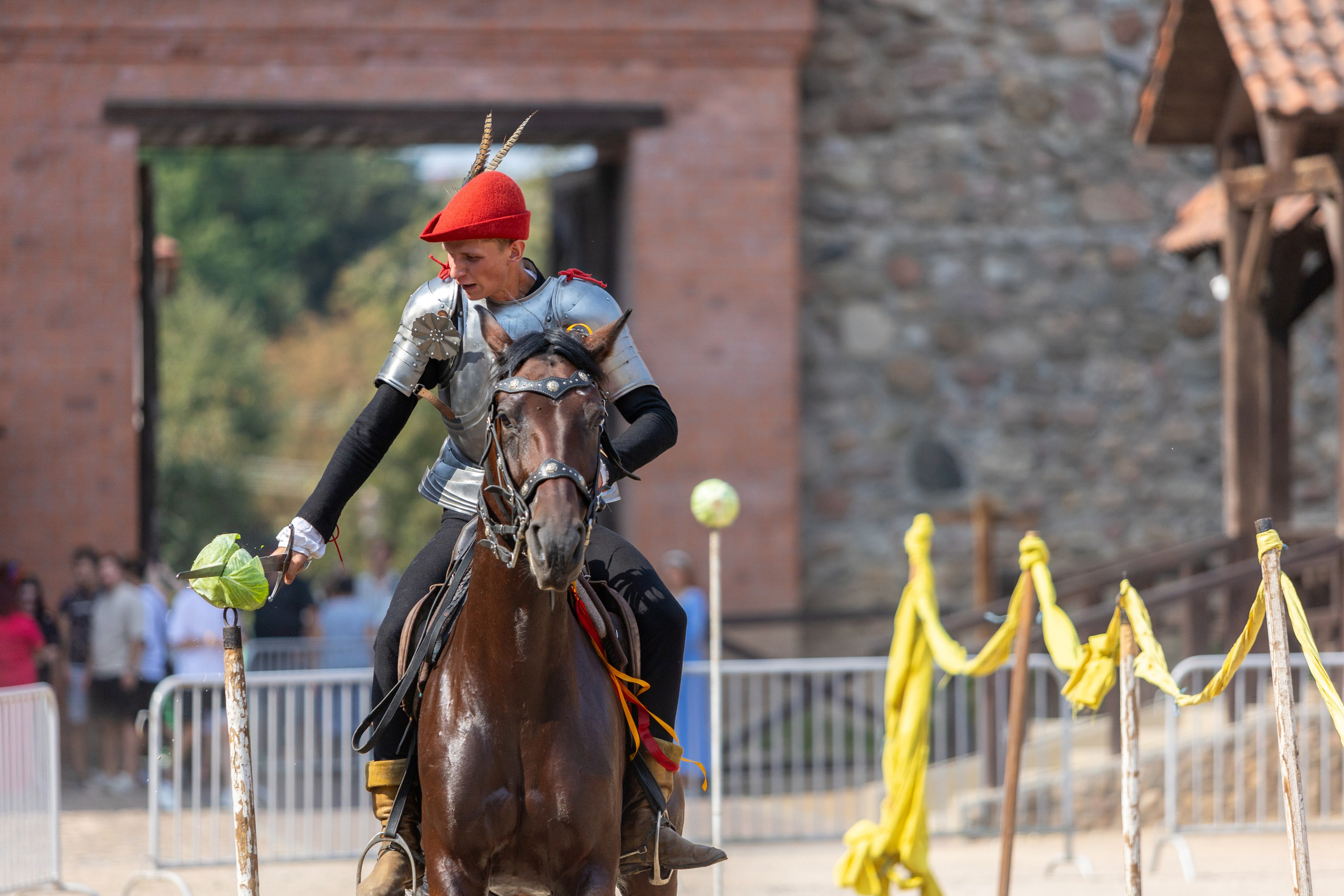 Выступление «Золотой шпоры» на празднике города Лиды. Профессиональный интерьерный и репортажный фотограф Минск и РБ. Максим Орлов