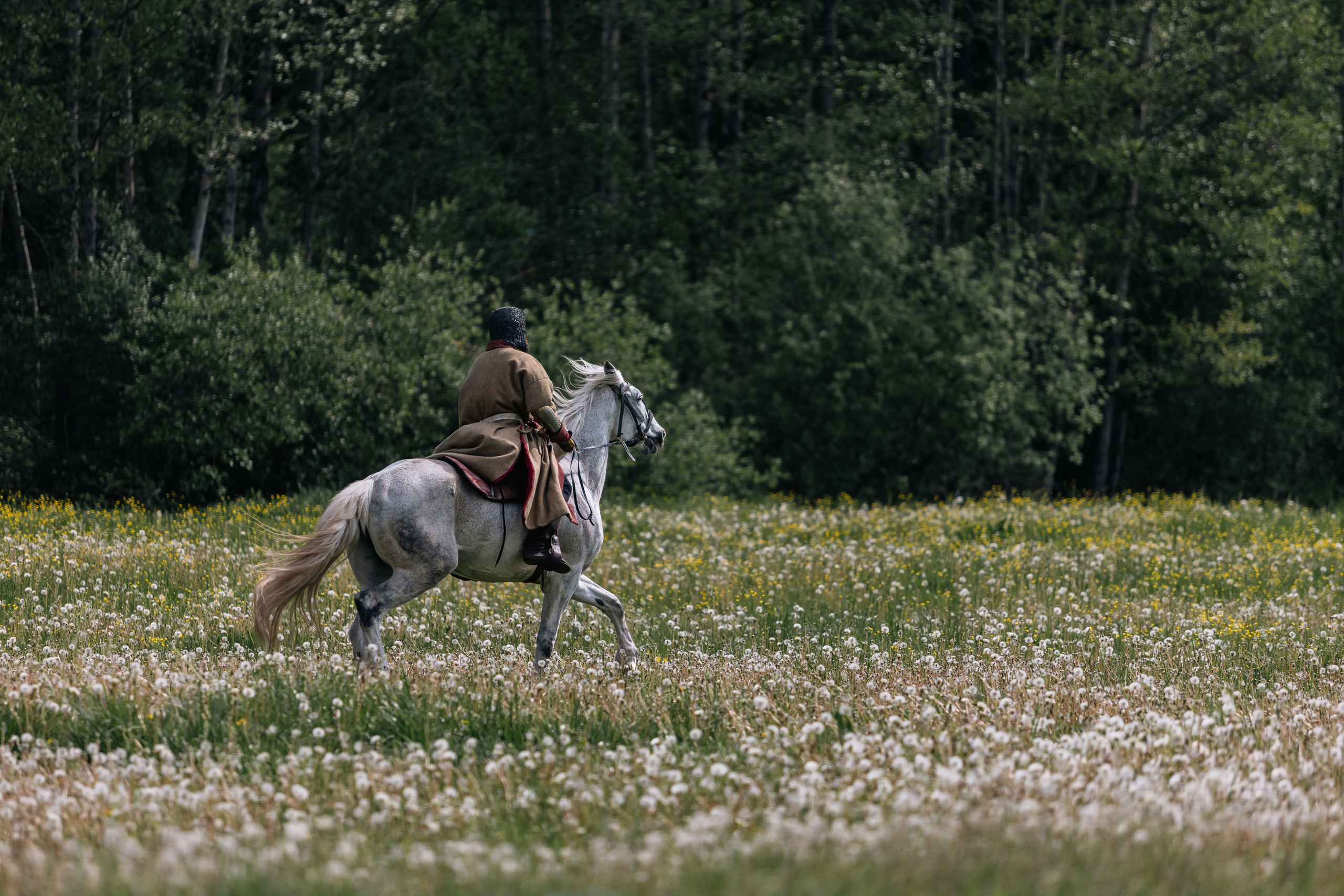 Золотая шпора. Маневры 17 века. Профессиональный интерьерный и репортажный фотограф Минск и РБ. Максим Орлов