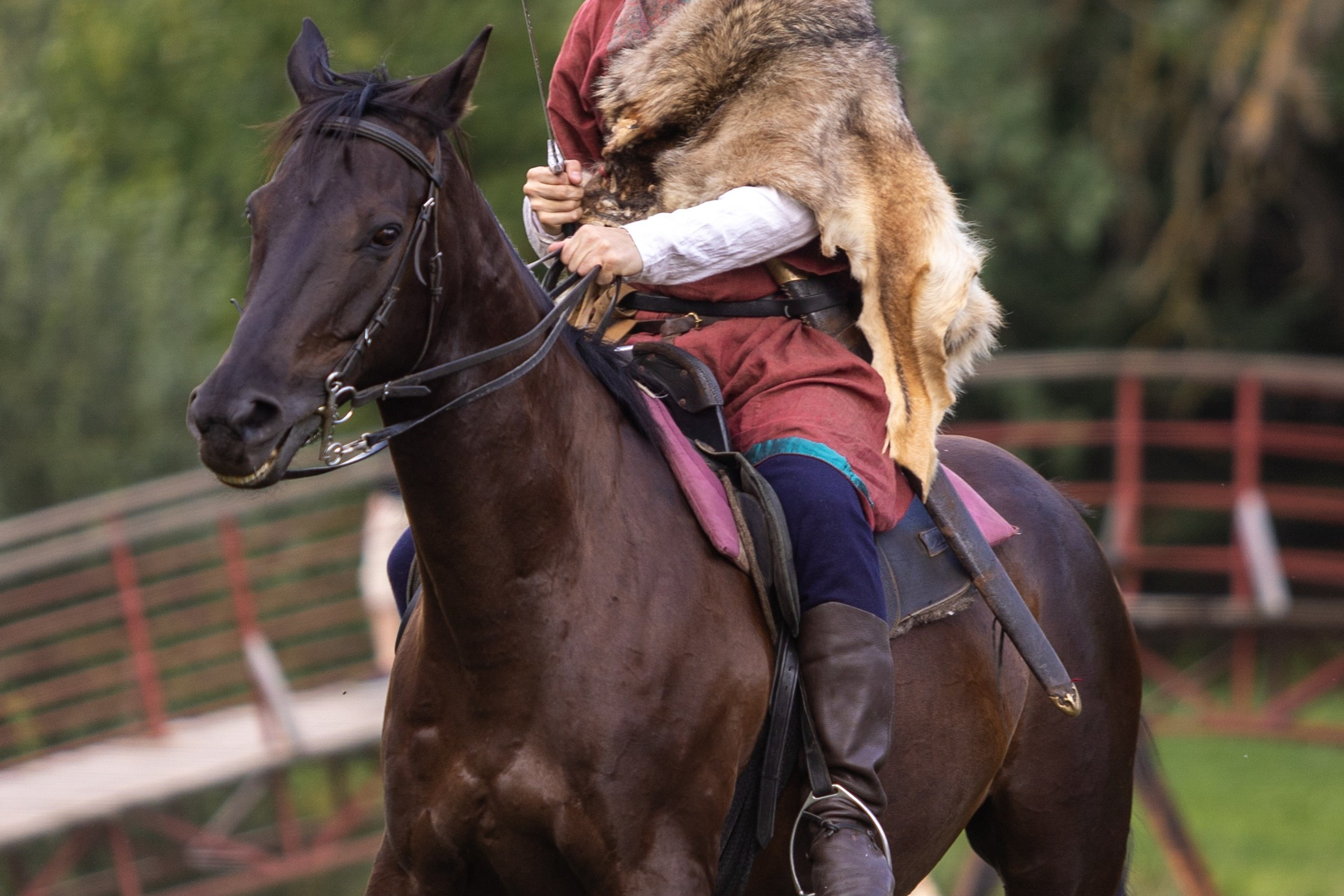 Ежегодный фестиваль средневековья в Дукоре. Профессиональный интерьерный и репортажный фотограф Минск и РБ. Максим Орлов