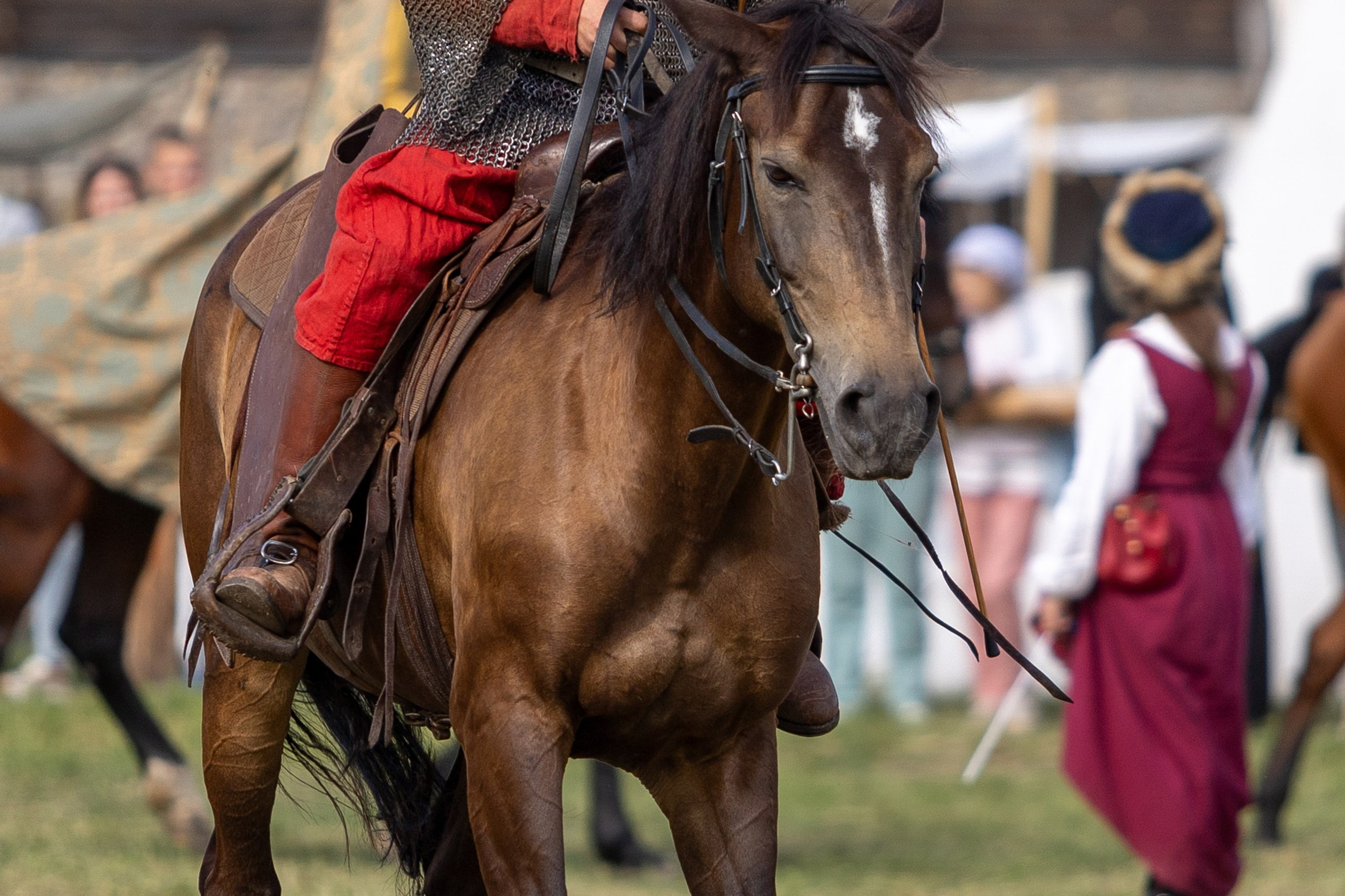 Рыцарский фест. Мстиславль. Профессиональный интерьерный и репортажный фотограф Минск и РБ. Максим Орлов