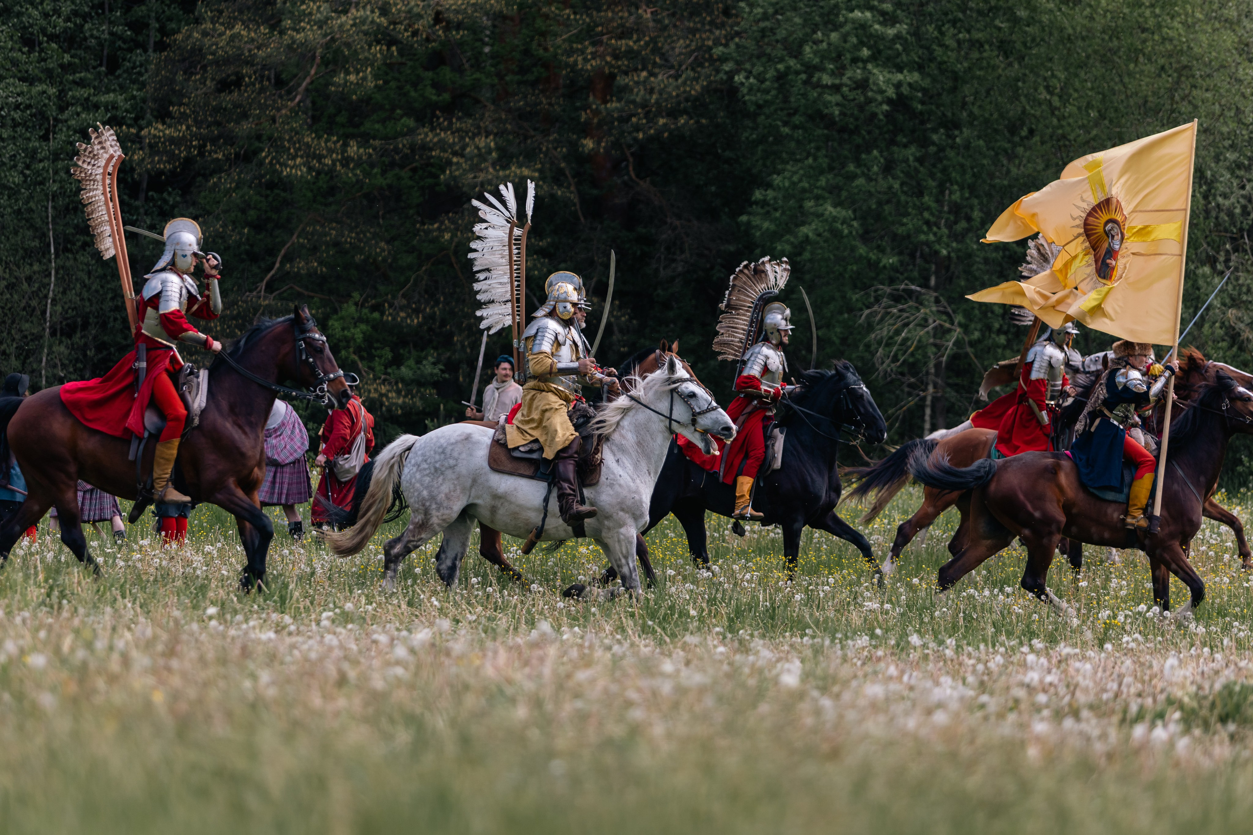 Золотая шпора. Маневры 17 века. Профессиональный интерьерный и репортажный фотограф Минск и РБ. Максим Орлов