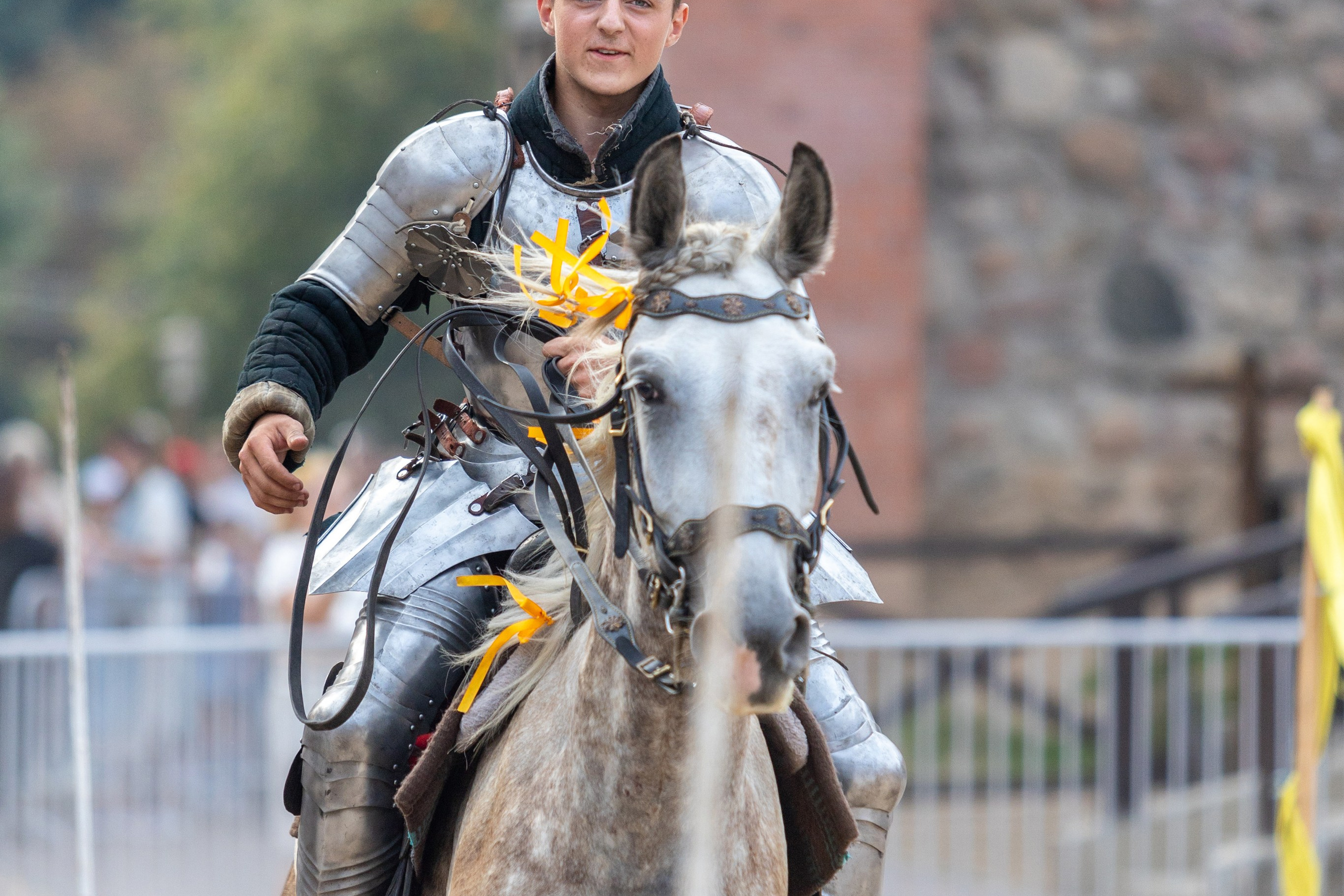 Выступление «Золотой шпоры» на празднике города Лиды. Профессиональный интерьерный и репортажный фотограф Минск и РБ. Максим Орлов