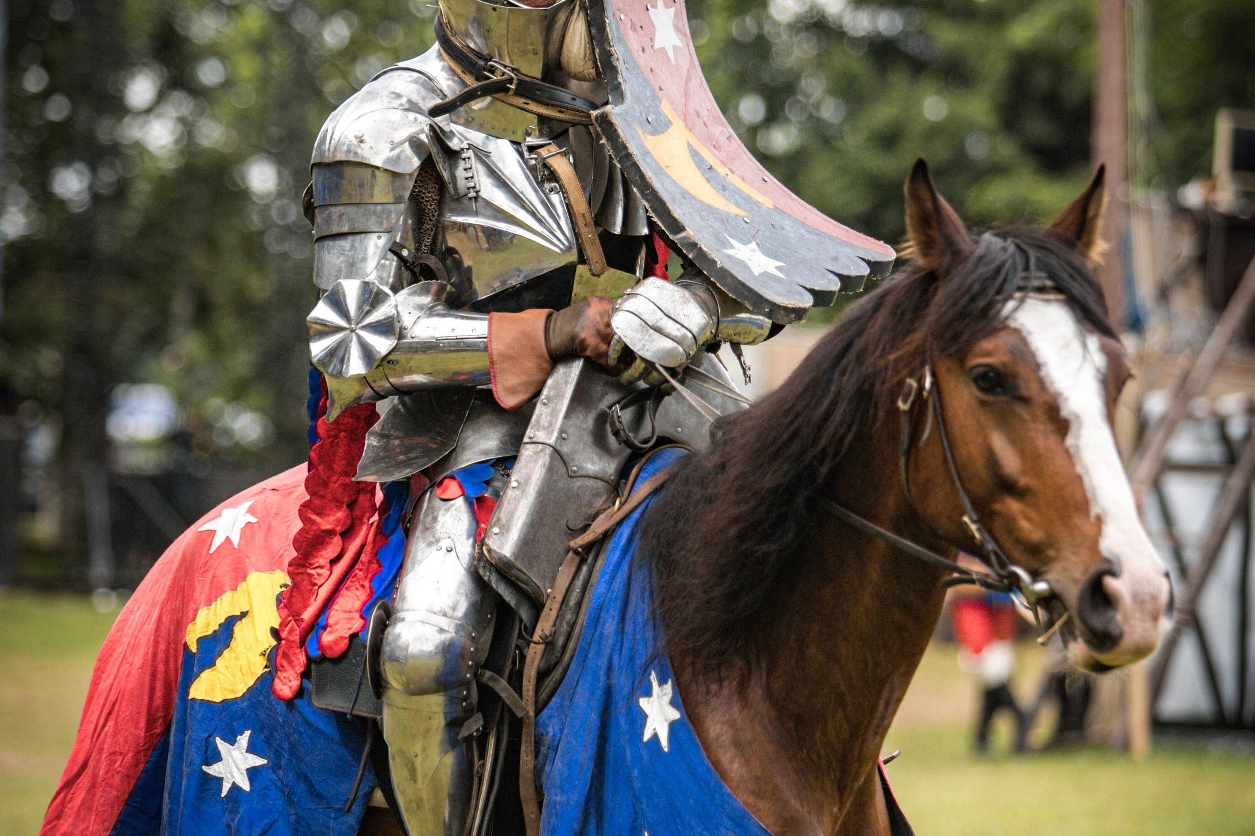 Наш Грюнвальд 2025. Рыцарский турнир. Профессиональный интерьерный и репортажный фотограф Минск и РБ. Максим Орлов