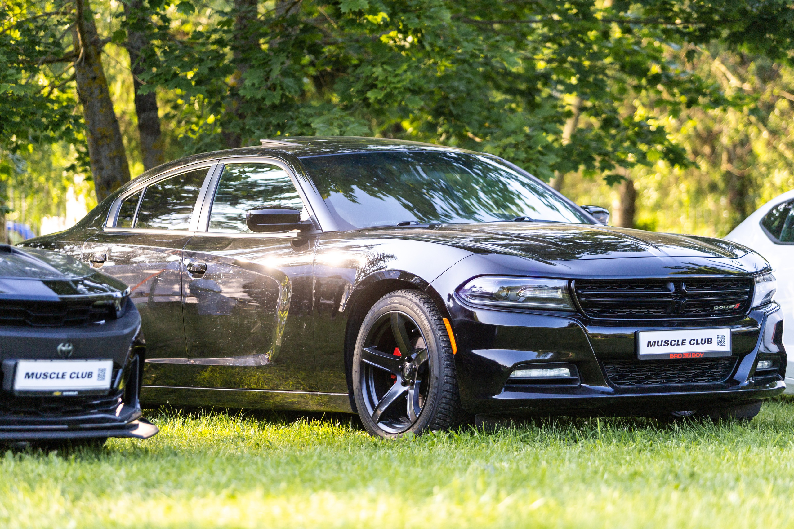 Свята сонца. Профессиональный интерьерный и репортажный фотограф Минск и РБ. Максим Орлов