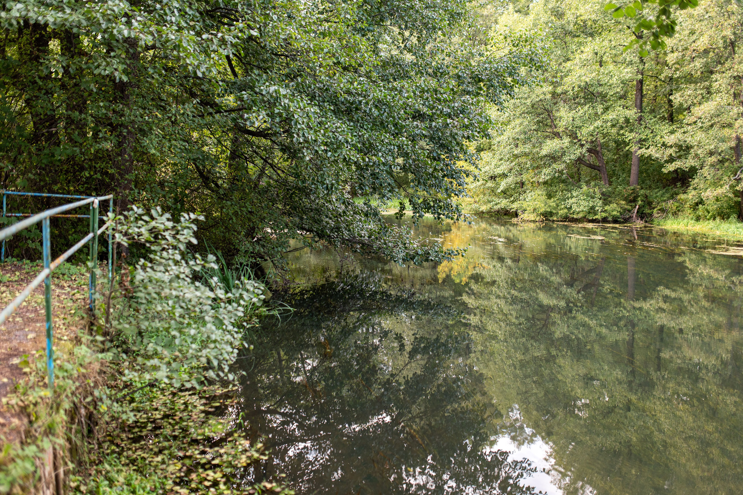 База отдыха «Бобр». Профессиональный интерьерный и репортажный фотограф Минск и РБ. Максим Орлов