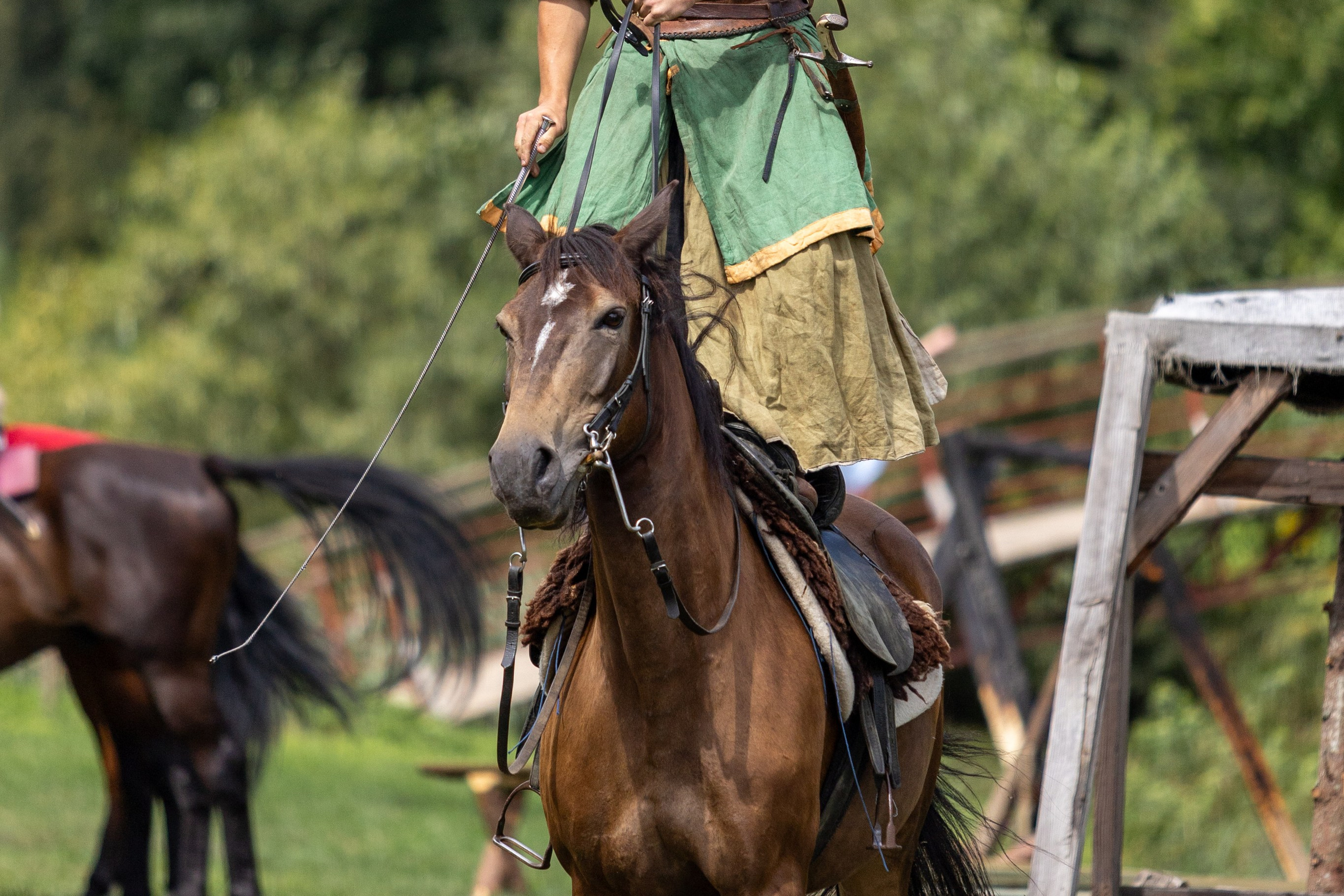 Ежегодный фестиваль средневековья в Дукоре. Профессиональный интерьерный и репортажный фотограф Минск и РБ. Максим Орлов