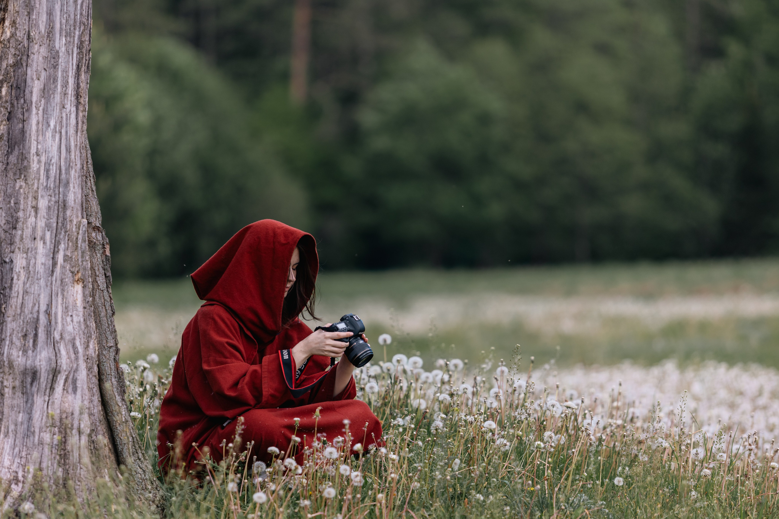 Золотая шпора. Маневры 17 века. Профессиональный интерьерный и репортажный фотограф Минск и РБ. Максим Орлов