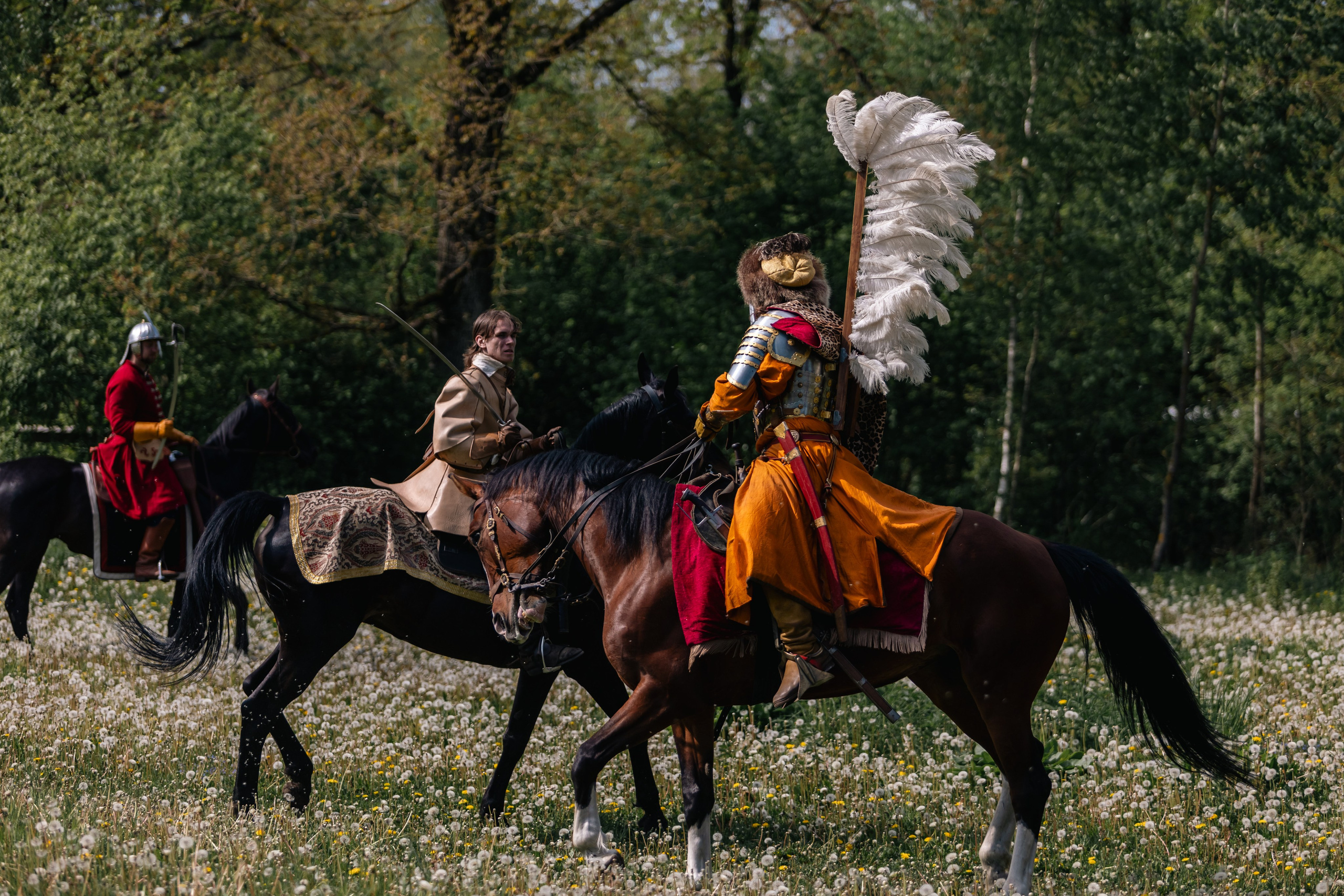 Золотая шпора. Маневры 17 века. Профессиональный интерьерный и репортажный фотограф Минск и РБ. Максим Орлов