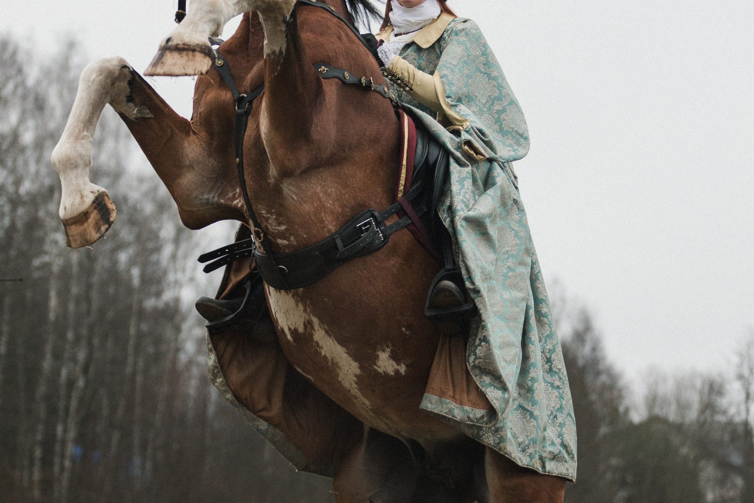 Маневры 17 века. Золотая шпора. Профессиональный интерьерный и репортажный фотограф Минск и РБ. Максим Орлов