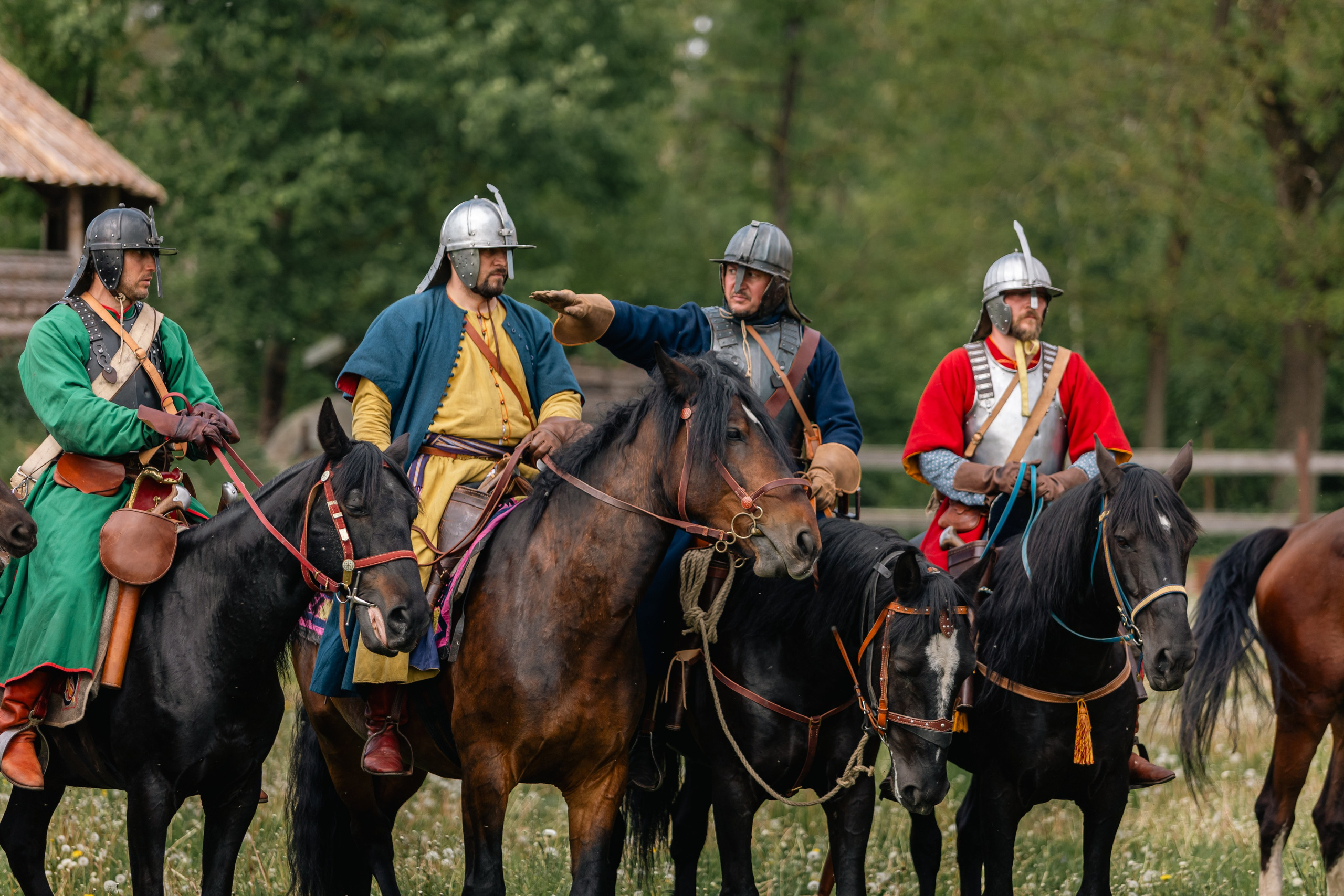 Золотая шпора. Маневры 17 века. Профессиональный интерьерный и репортажный фотограф Минск и РБ. Максим Орлов