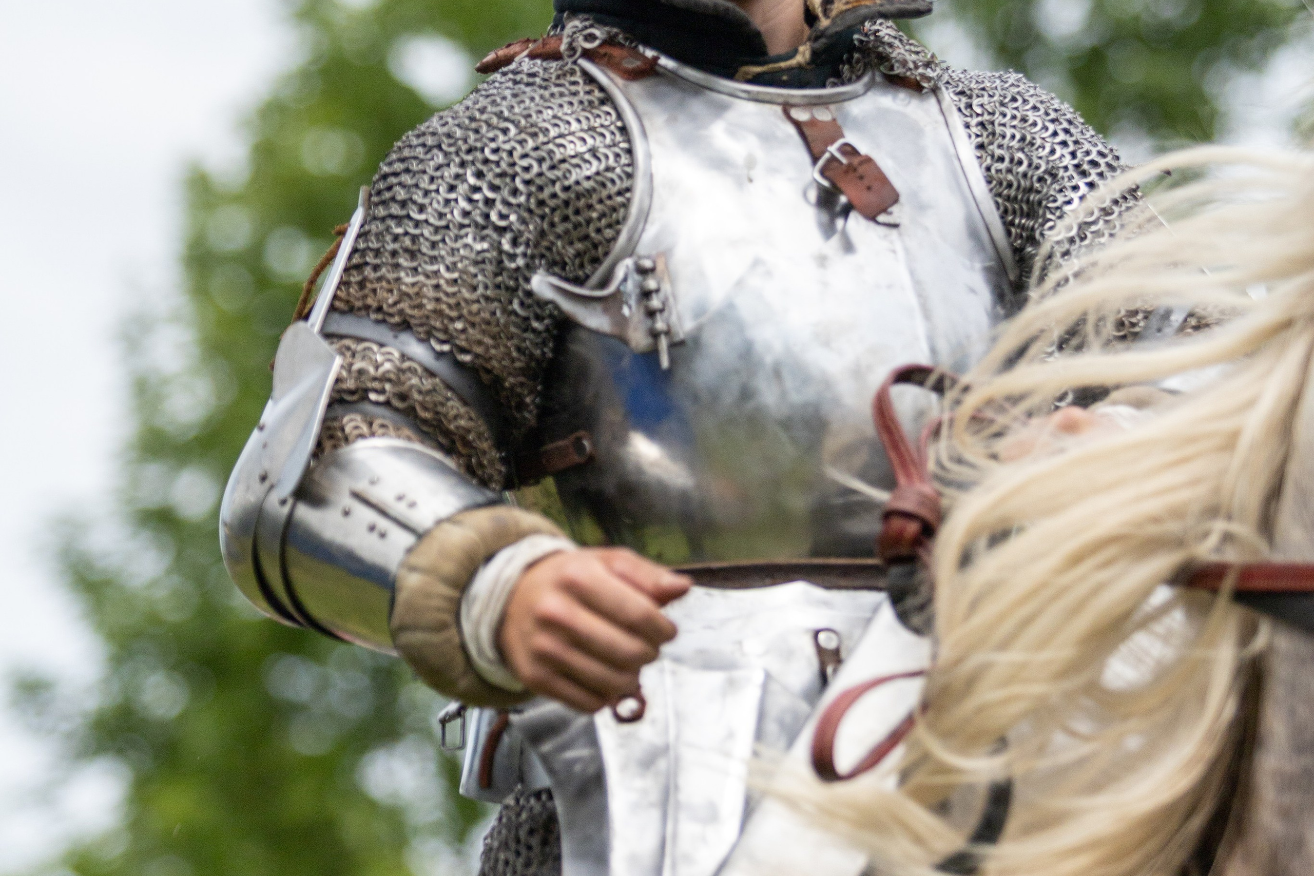 Наш Грюнвальд 2025. Рыцарский турнир. Профессиональный интерьерный и репортажный фотограф Минск и РБ. Максим Орлов