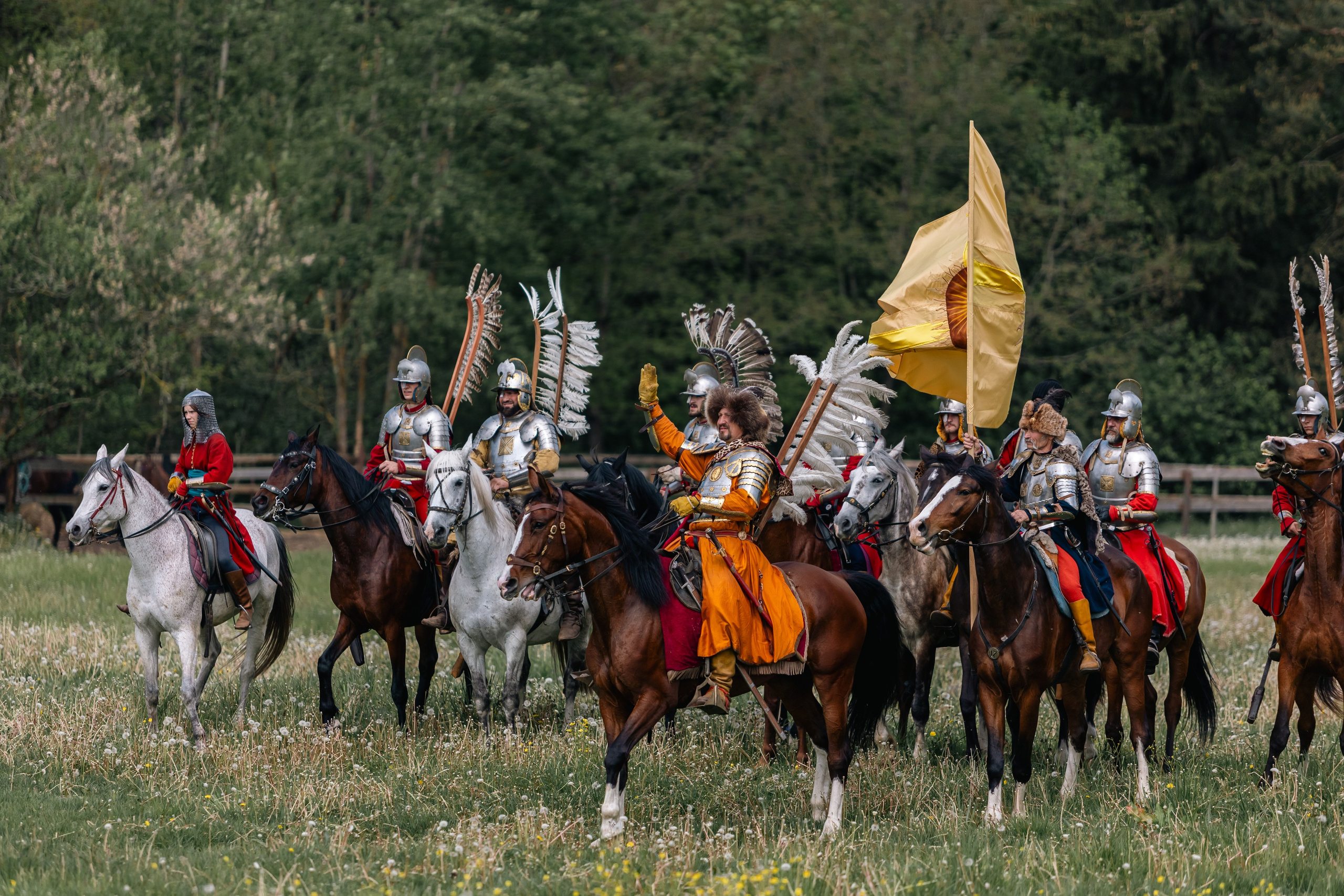Золотая шпора. Маневры 17 века. Профессиональный интерьерный и репортажный фотограф Минск и РБ. Максим Орлов