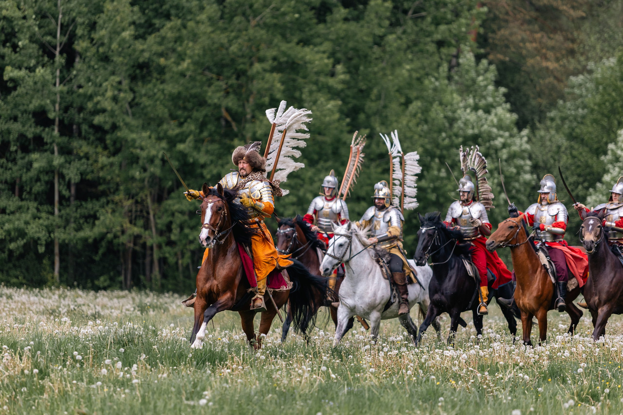 Золотая шпора. Маневры 17 века. Профессиональный интерьерный и репортажный фотограф Минск и РБ. Максим Орлов