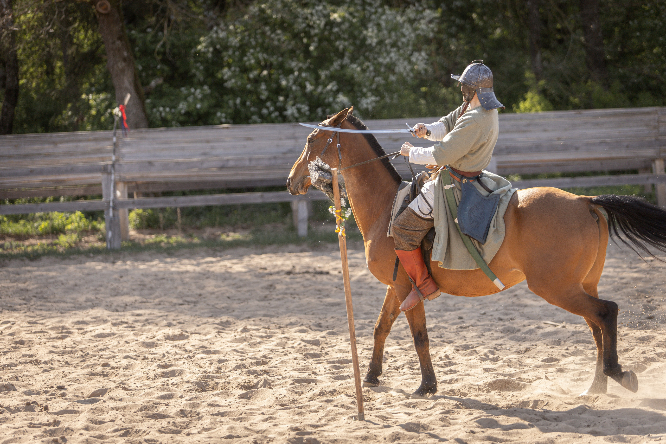 Золотая Шпора. Огнем и Мечем. День первый. Рыцарский турнир. Профессиональный интерьерный и репортажный фотограф Минск и РБ. Максим Орлов