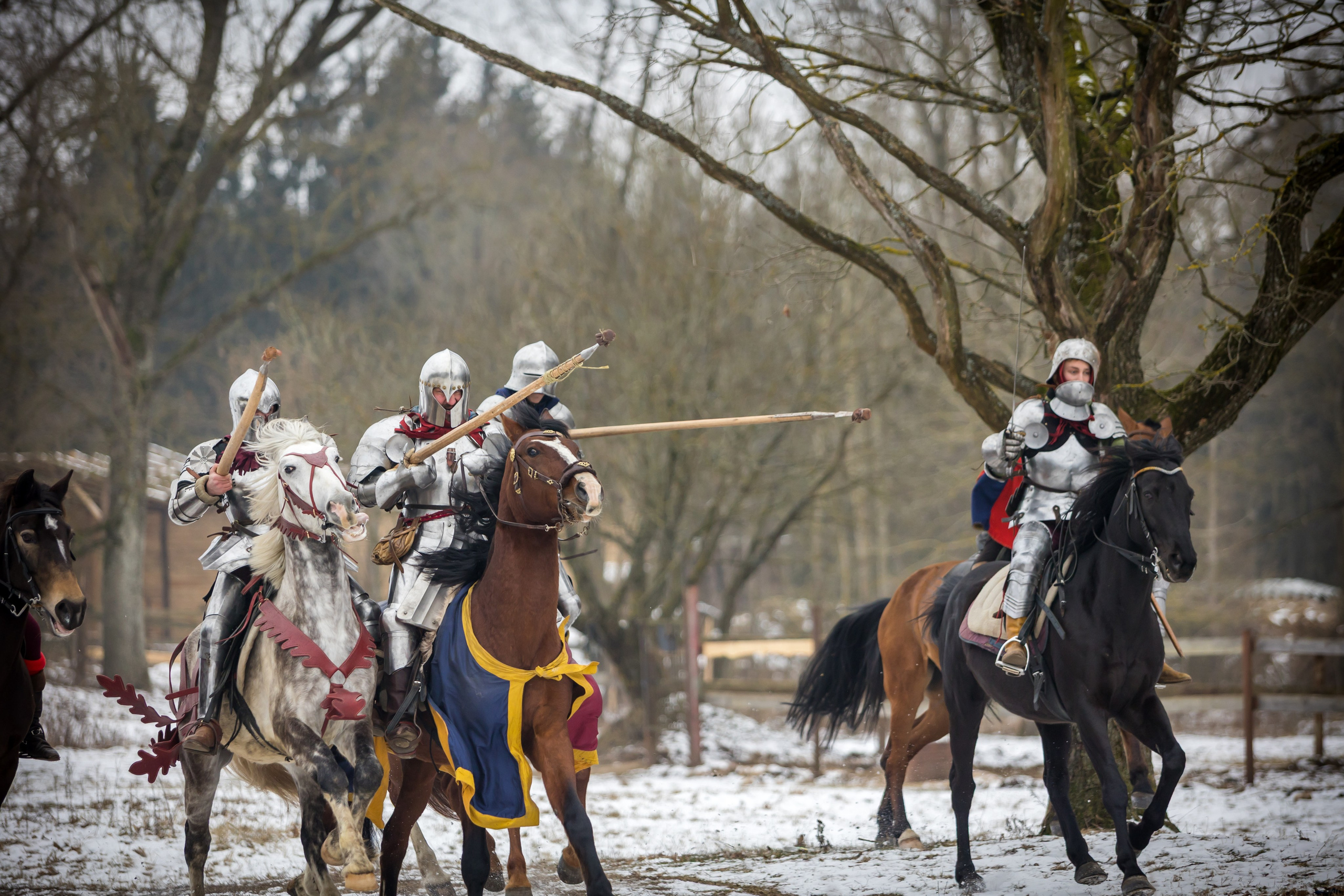 Зимние маневры «Золотой шпоры». 2025. Профессиональный интерьерный и репортажный фотограф Минск и РБ. Максим Орлов