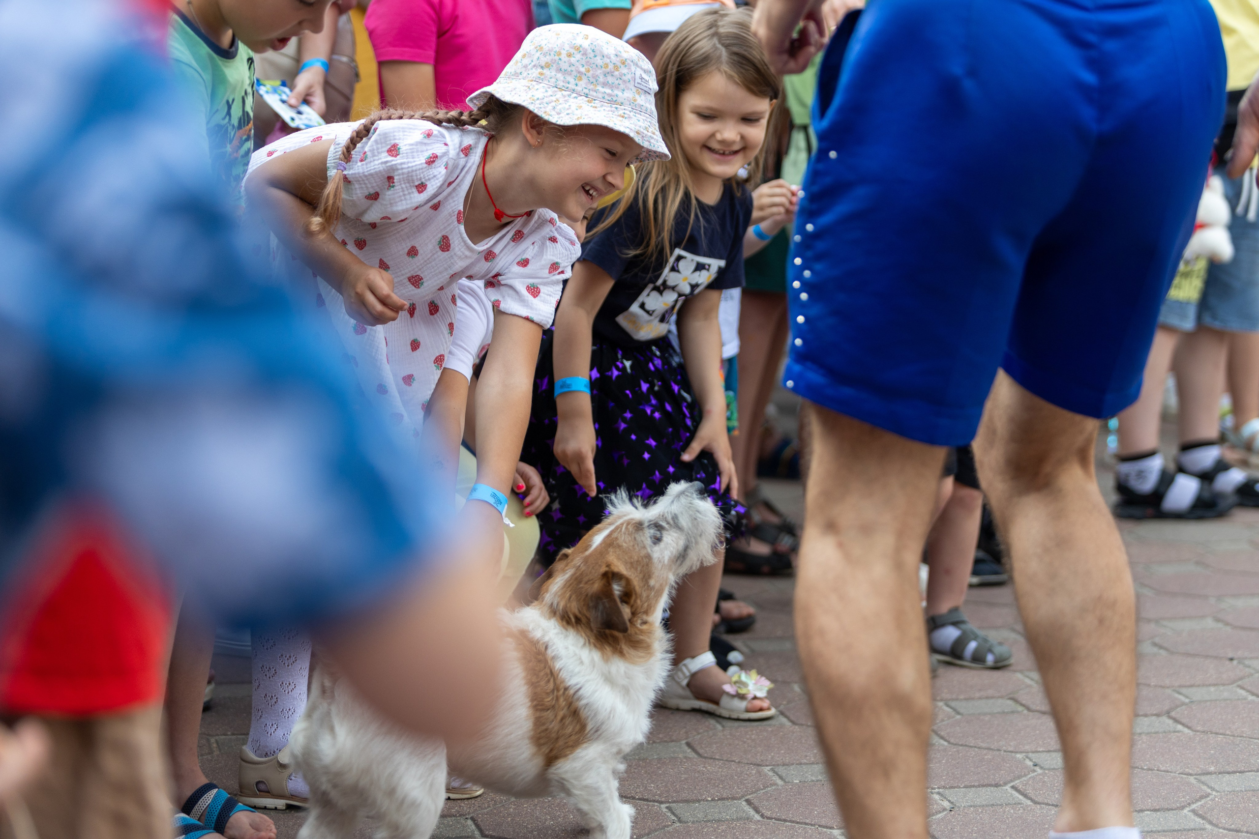 Детифест. Профессиональный интерьерный и репортажный фотограф Минск и РБ. Максим Орлов