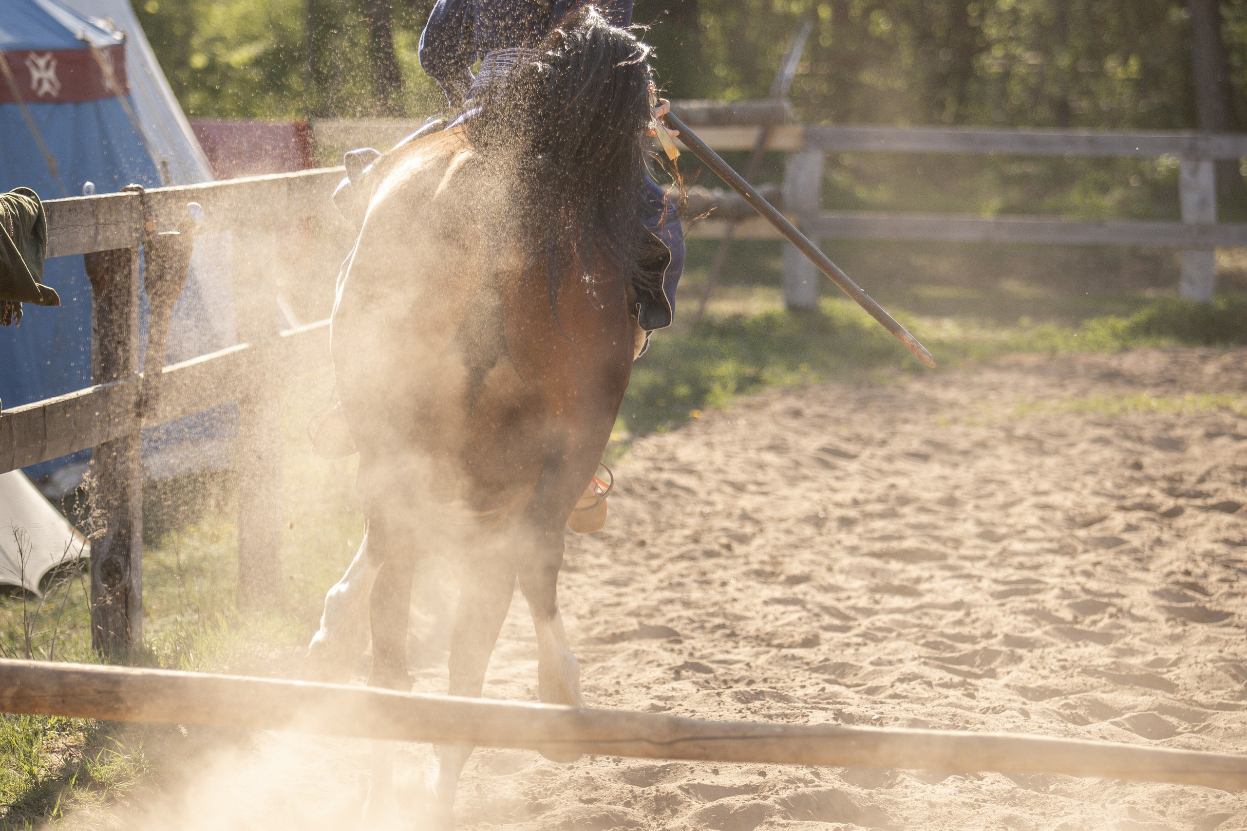 Золотая Шпора. Огнем и Мечем. День первый. Рыцарский турнир. Профессиональный интерьерный и репортажный фотограф Минск и РБ. Максим Орлов