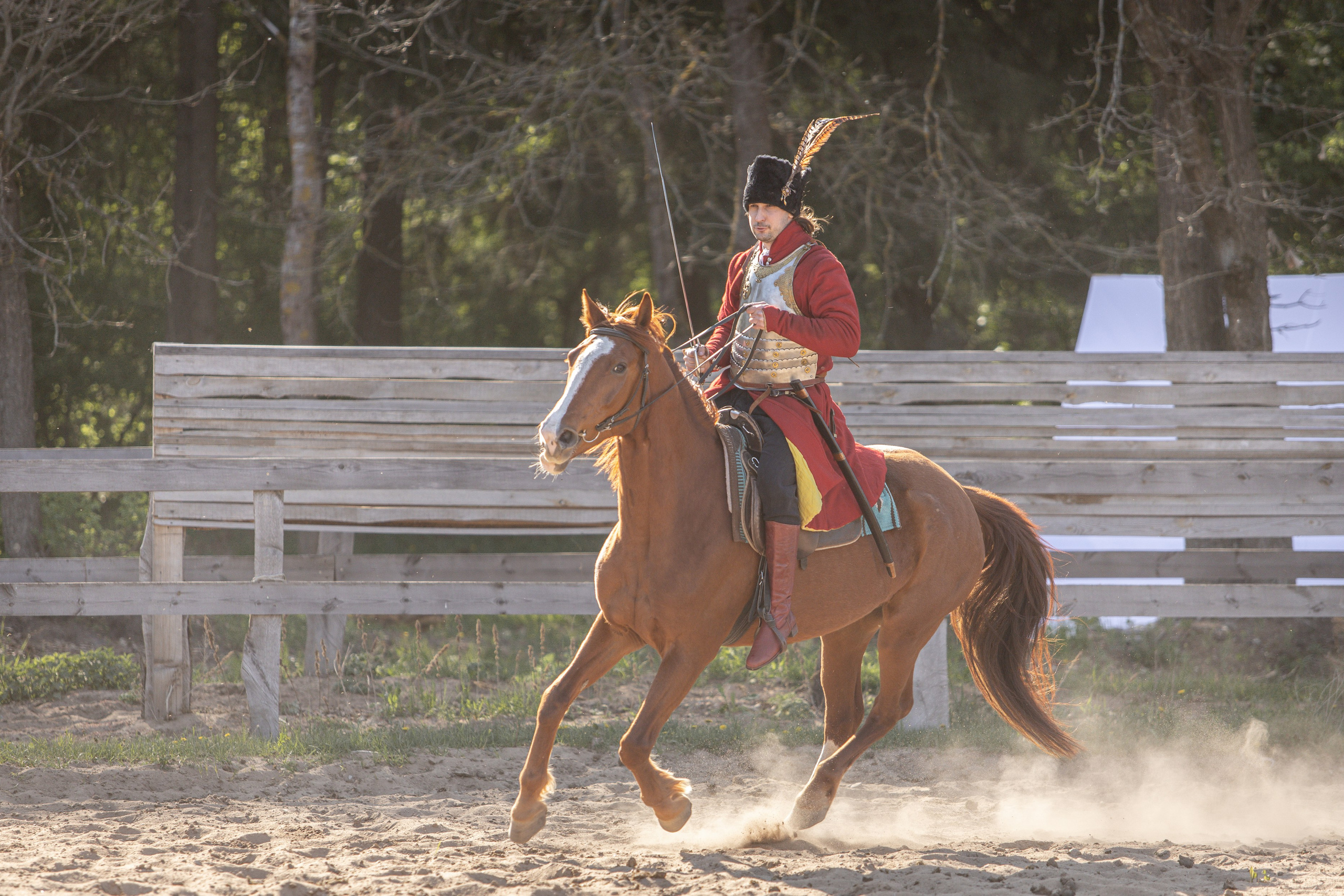Золотая Шпора. Огнем и Мечем. День первый. Рыцарский турнир. Профессиональный интерьерный и репортажный фотограф Минск и РБ. Максим Орлов