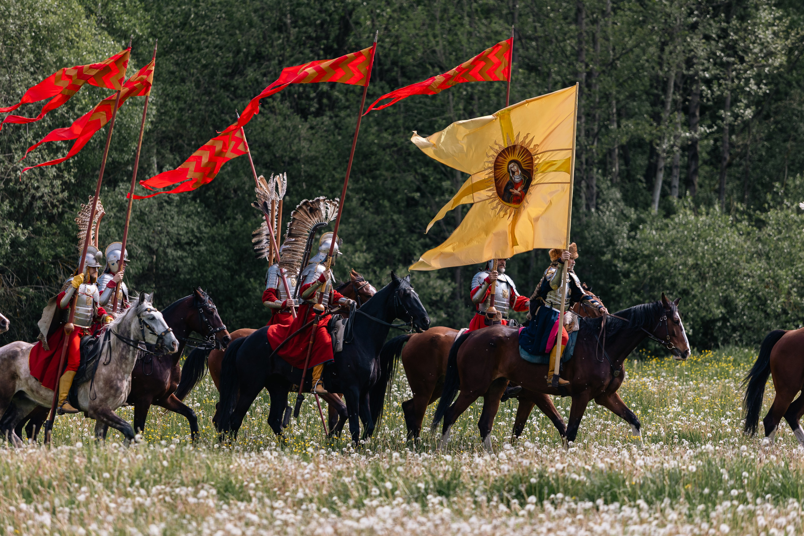 Золотая шпора. Маневры 17 века. Профессиональный интерьерный и репортажный фотограф Минск и РБ. Максим Орлов