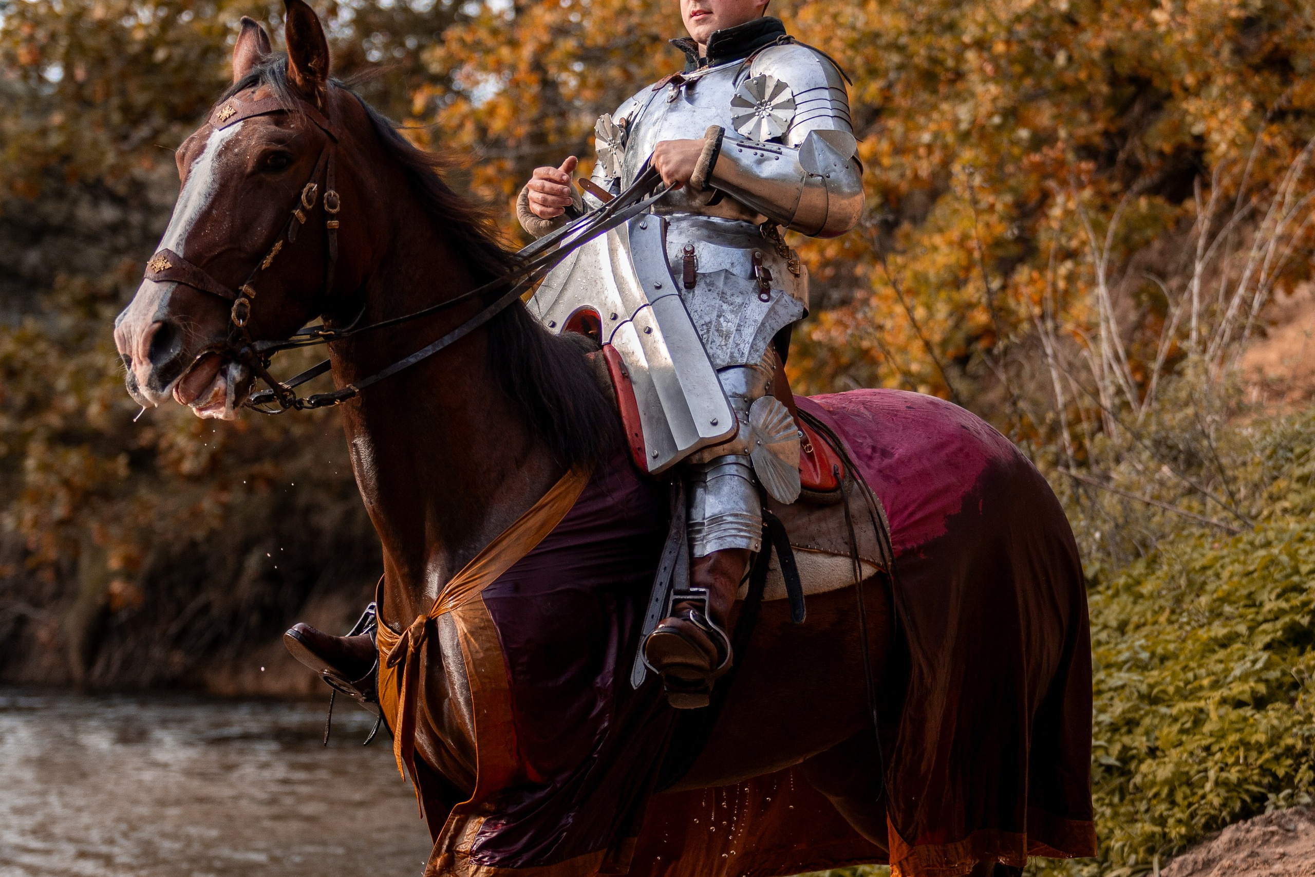 Рыцарская с Афиной. Дима Теслик. Профессиональный интерьерный и репортажный фотограф Минск и РБ. Максим Орлов