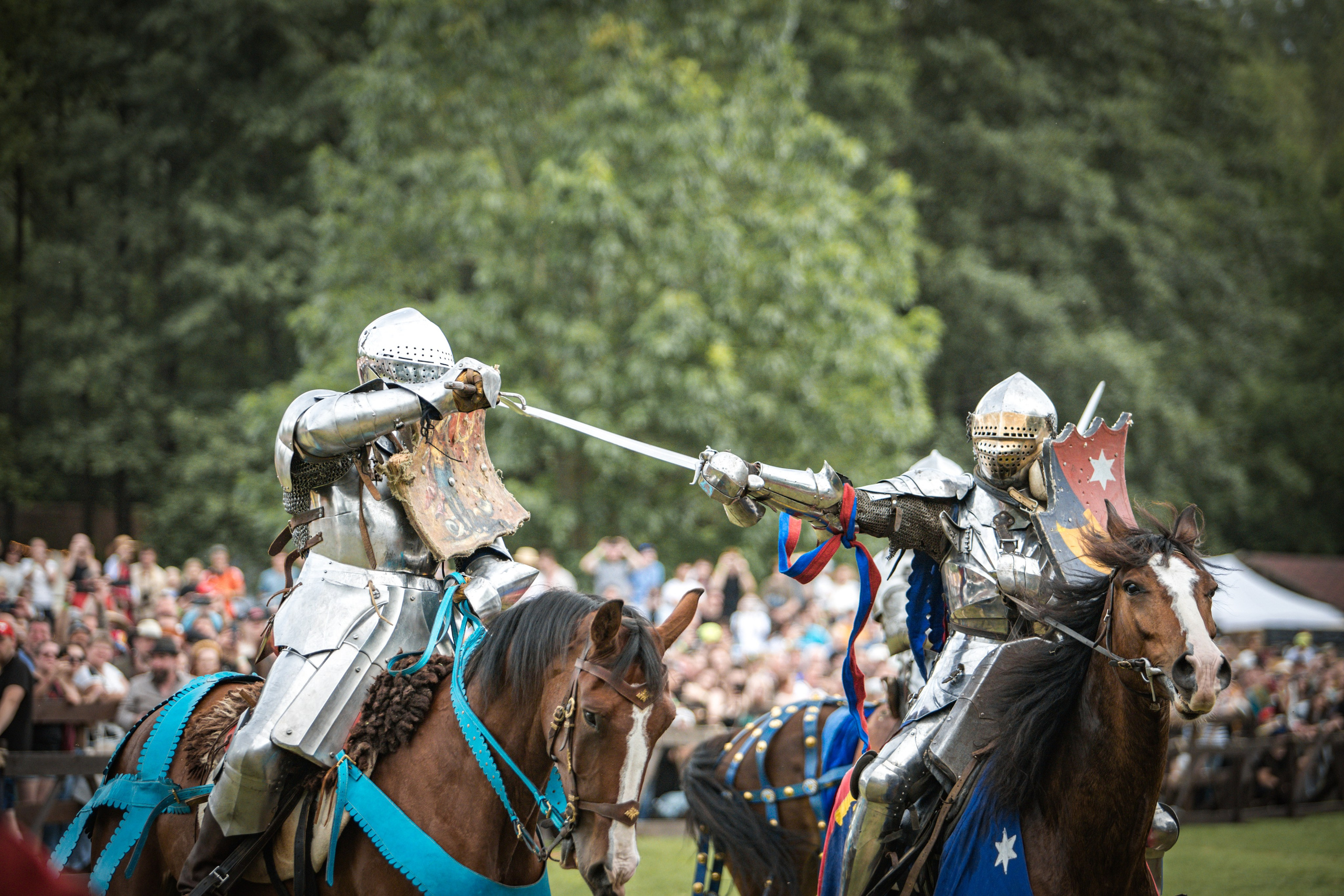 Наш Грюнвальд 2025. Рыцарский турнир. Профессиональный интерьерный и репортажный фотограф Минск и РБ. Максим Орлов