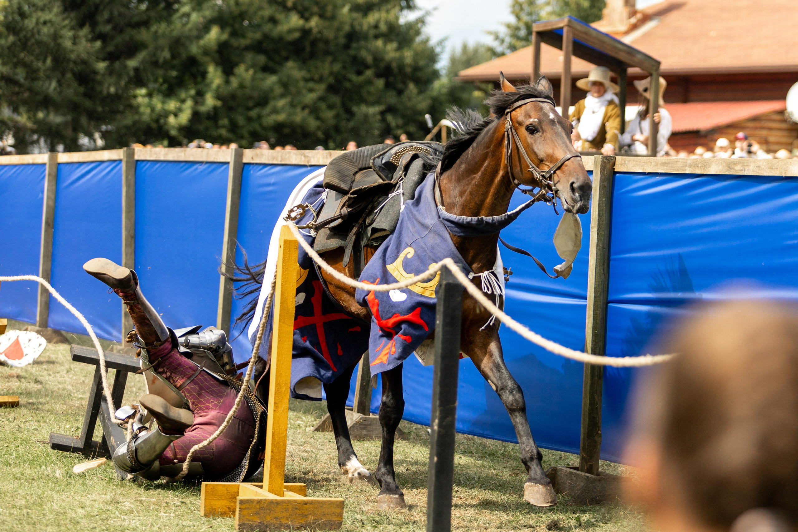 Наш Грюнвальд 2024. День второй. Профессиональный интерьерный и репортажный фотограф Минск и РБ. Максим Орлов