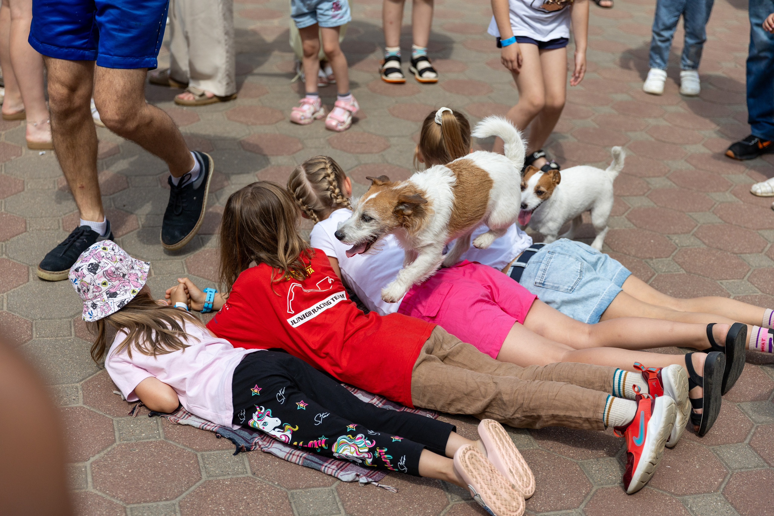 Детифест. Профессиональный интерьерный и репортажный фотограф Минск и РБ. Максим Орлов
