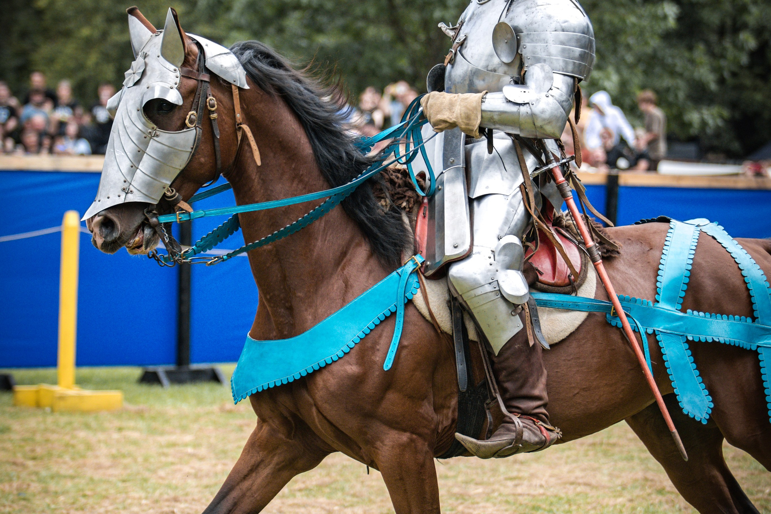 Наш Грюнвальд 2025. Рыцарский турнир. Профессиональный интерьерный и репортажный фотограф Минск и РБ. Максим Орлов