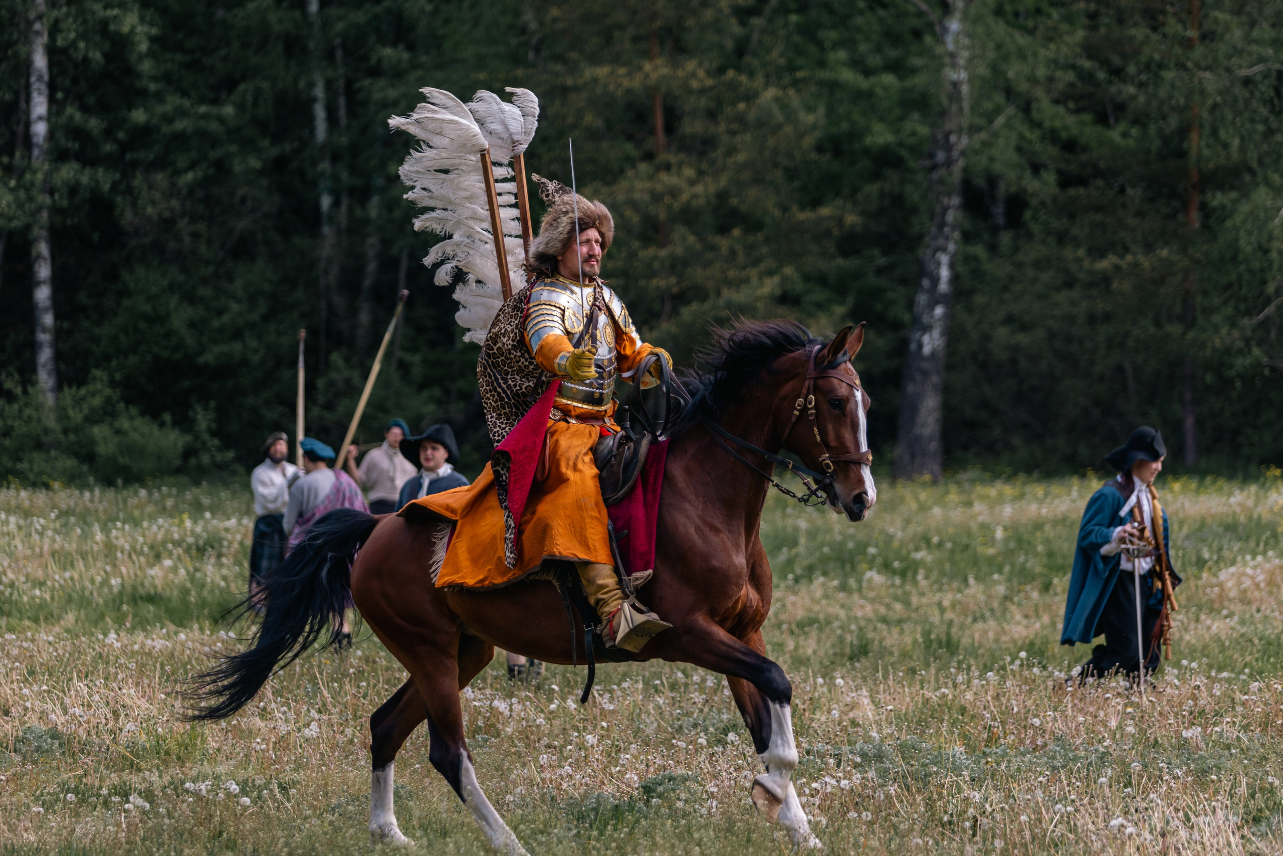 Золотая шпора. Маневры 17 века. Профессиональный интерьерный и репортажный фотограф Минск и РБ. Максим Орлов