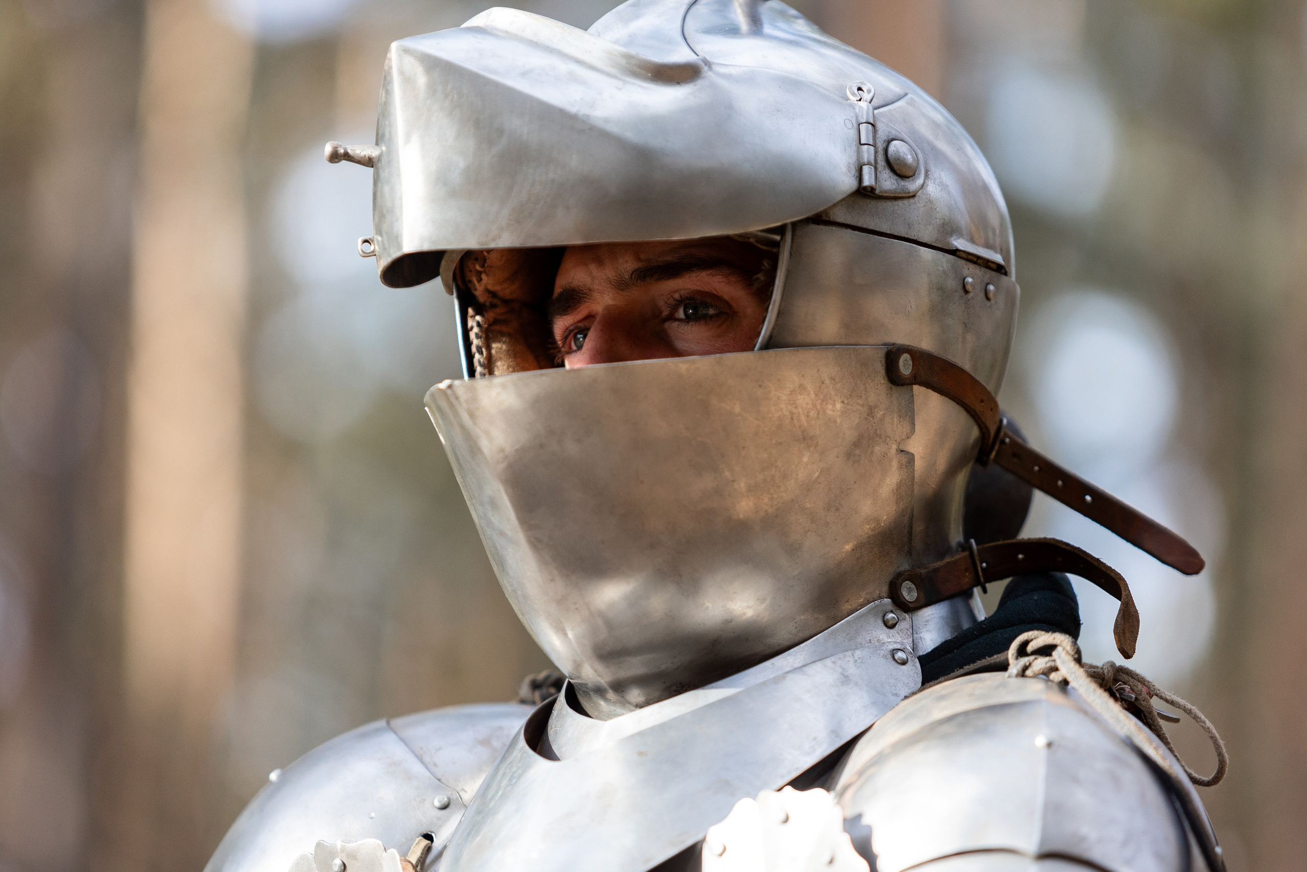 Рыцарская с Афиной. Дима Теслик. Профессиональный интерьерный и репортажный фотограф Минск и РБ. Максим Орлов