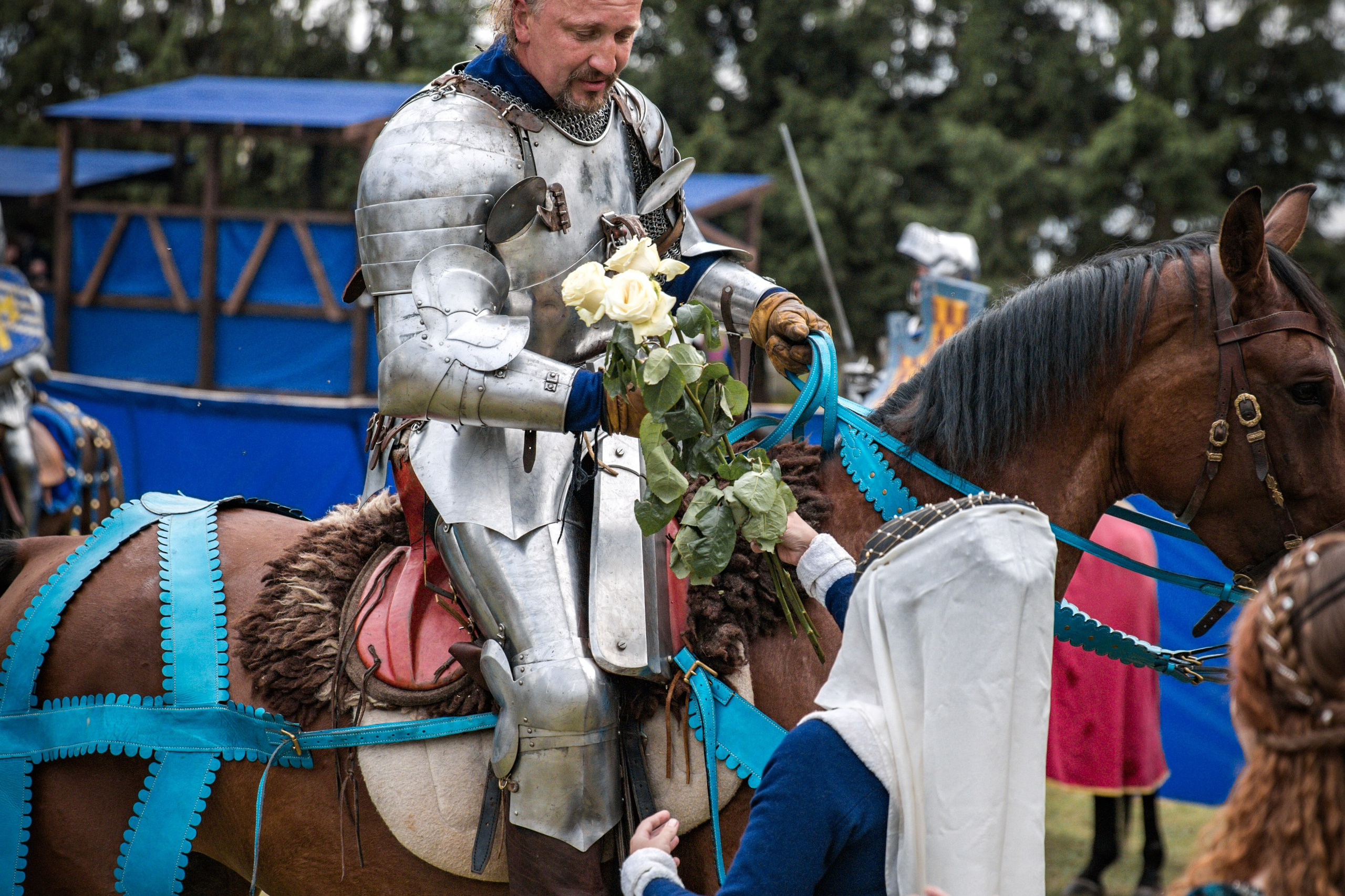 Наш Грюнвальд 2025. Рыцарский турнир. Профессиональный интерьерный и репортажный фотограф Минск и РБ. Максим Орлов