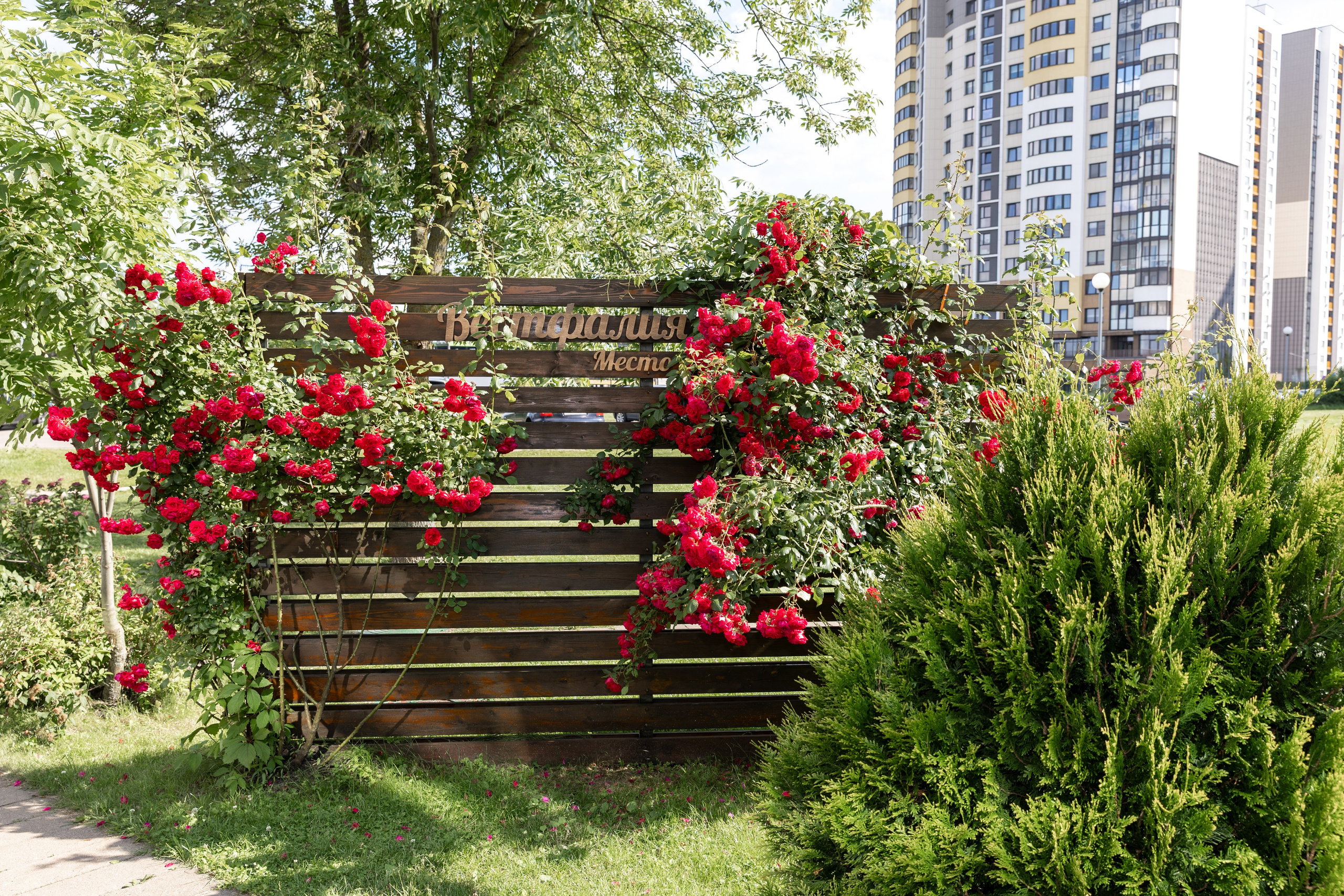 Юбилей Татьяны в ресторане. Профессиональный интерьерный и репортажный фотограф Минск и РБ. Максим Орлов