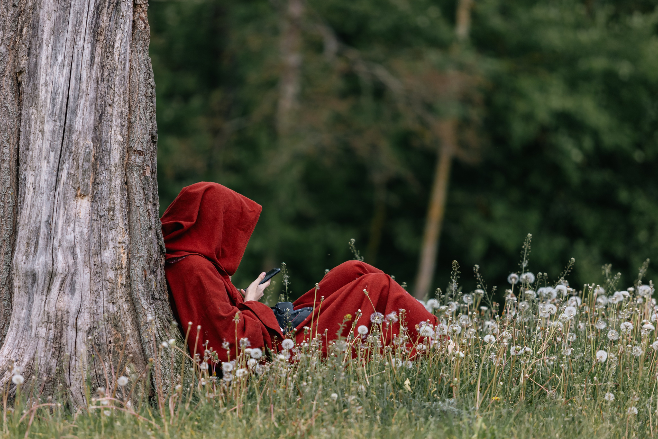 Золотая шпора. Маневры 17 века. Профессиональный интерьерный и репортажный фотограф Минск и РБ. Максим Орлов