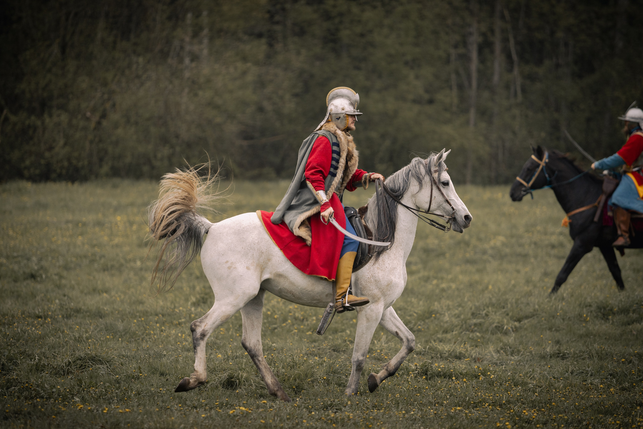 Золотая шпора. Огнем и мечем. День третий. Бой на поле. Профессиональный интерьерный и репортажный фотограф Минск и РБ. Максим Орлов