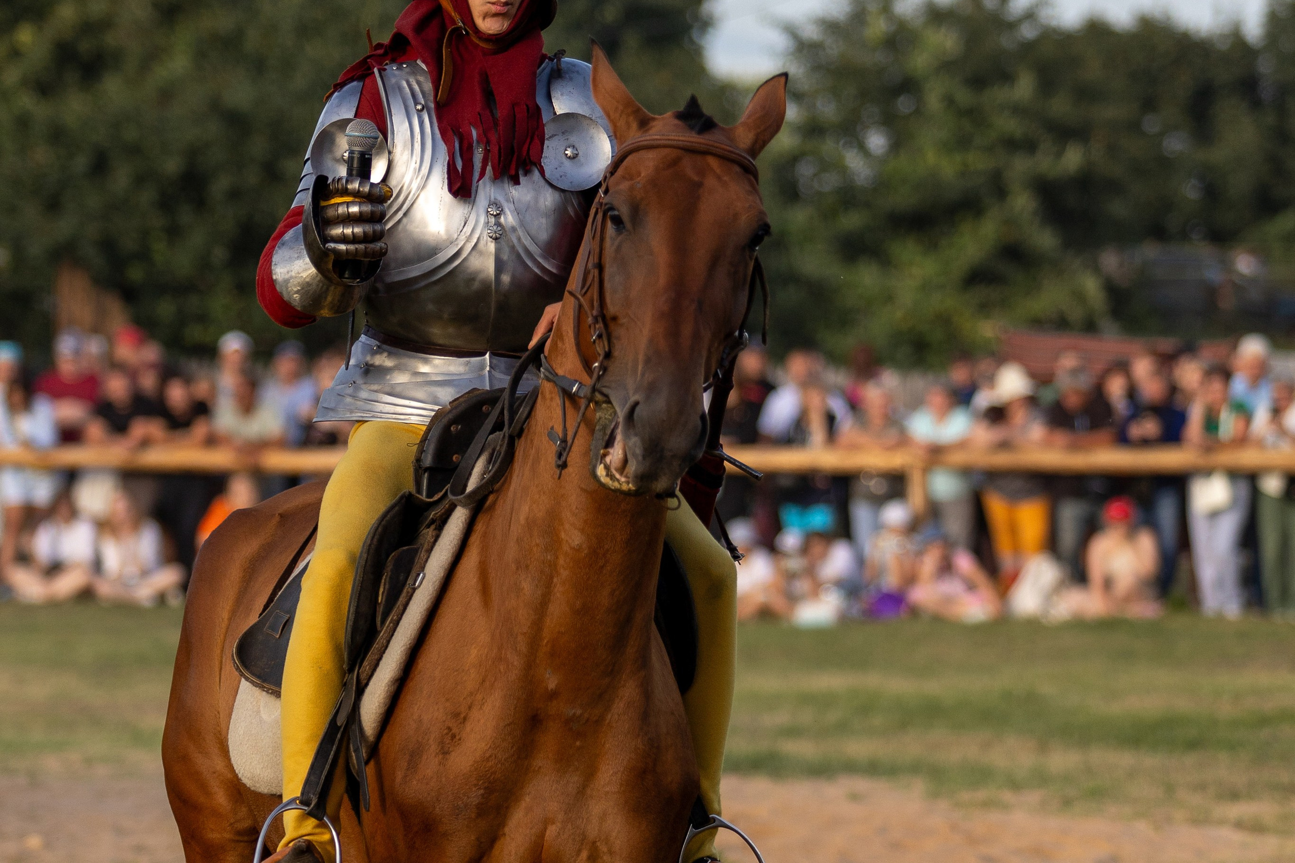 Рыцарский фест. Мстиславль. Профессиональный интерьерный и репортажный фотограф Минск и РБ. Максим Орлов