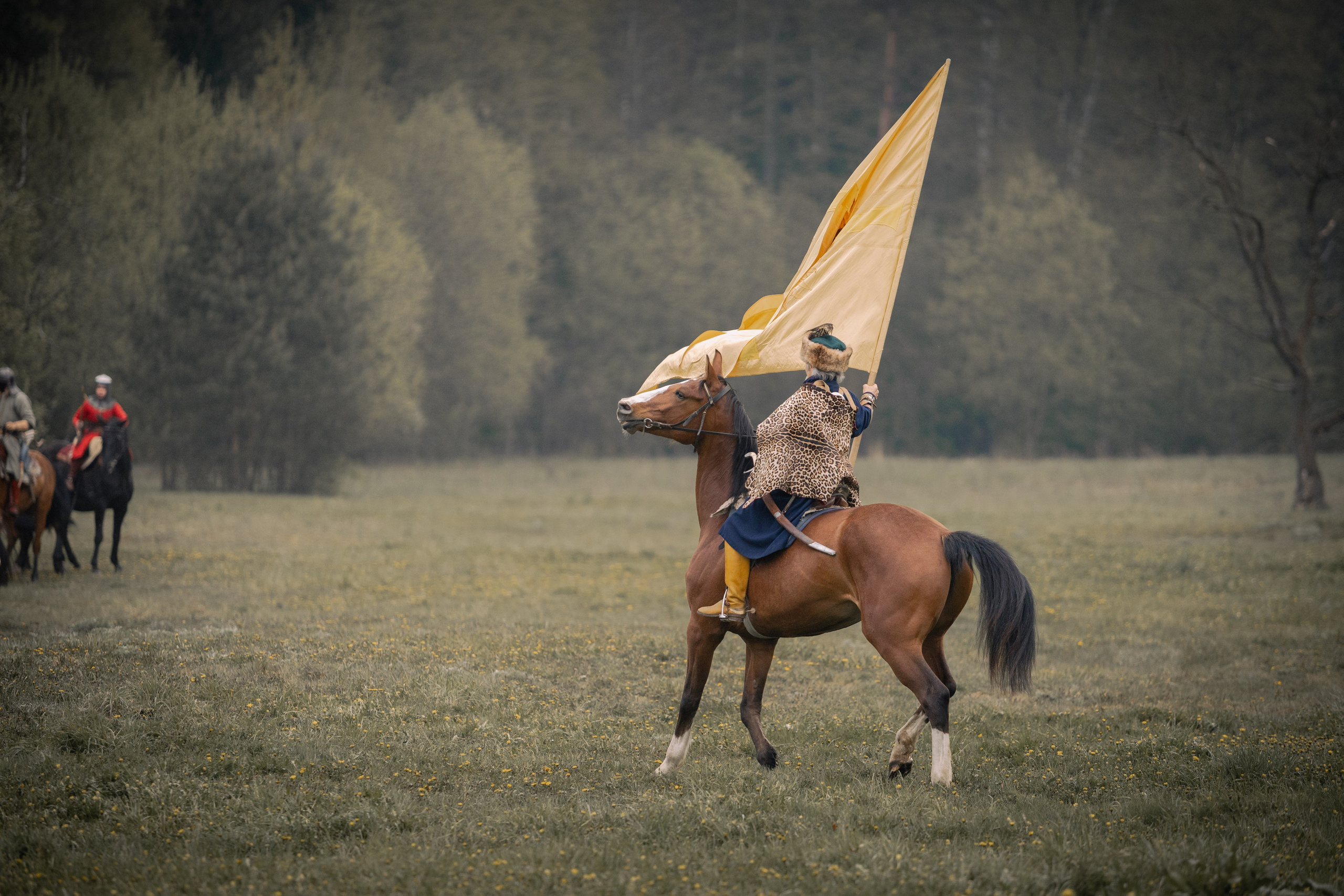 Золотая шпора. Огнем и мечем. День третий. Бой на поле. Профессиональный интерьерный и репортажный фотограф Минск и РБ. Максим Орлов
