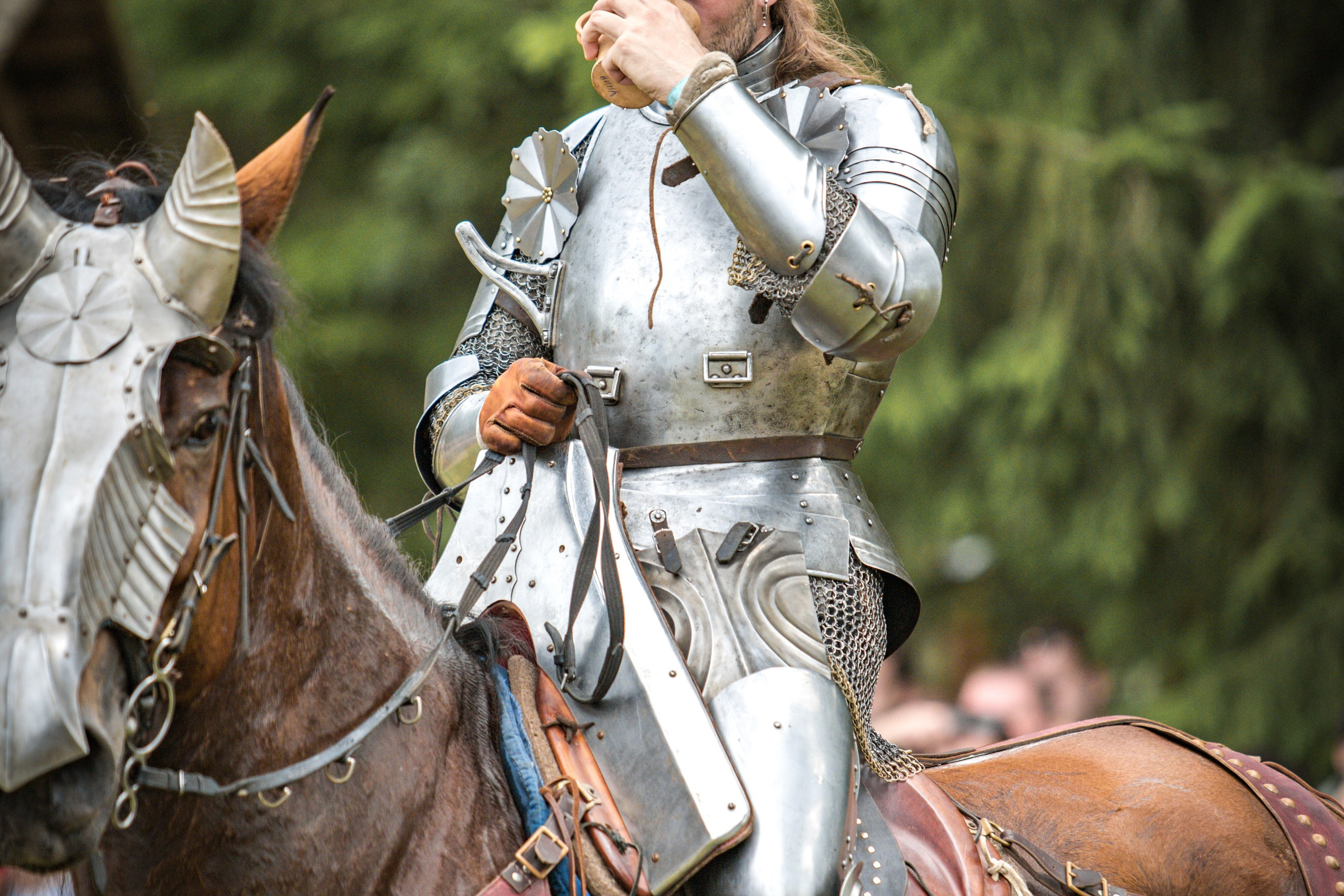 Наш Грюнвальд 2025. Рыцарский турнир. Профессиональный интерьерный и репортажный фотограф Минск и РБ. Максим Орлов