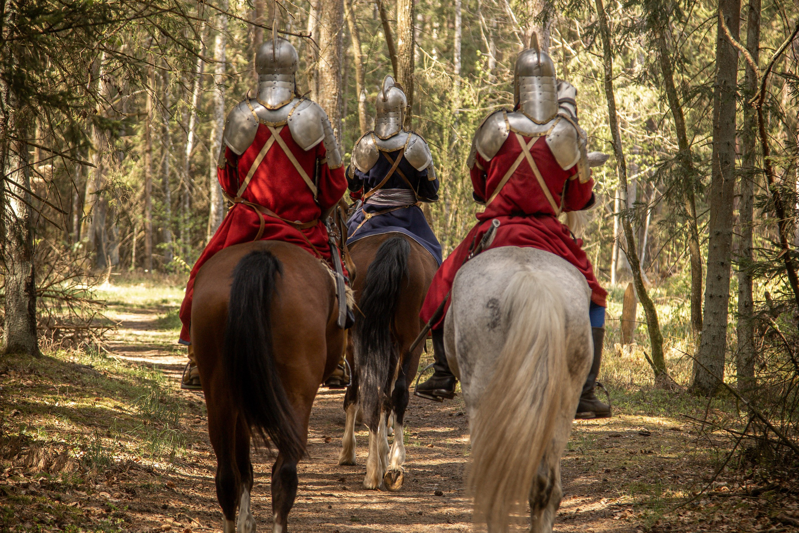 Золотая шпора. Огнем и мечем. День второй. Вылазка в лес. Штурм фортеции. Княжеский пир. Профессиональный интерьерный и репортажный фотограф Минск и РБ. Максим Орлов