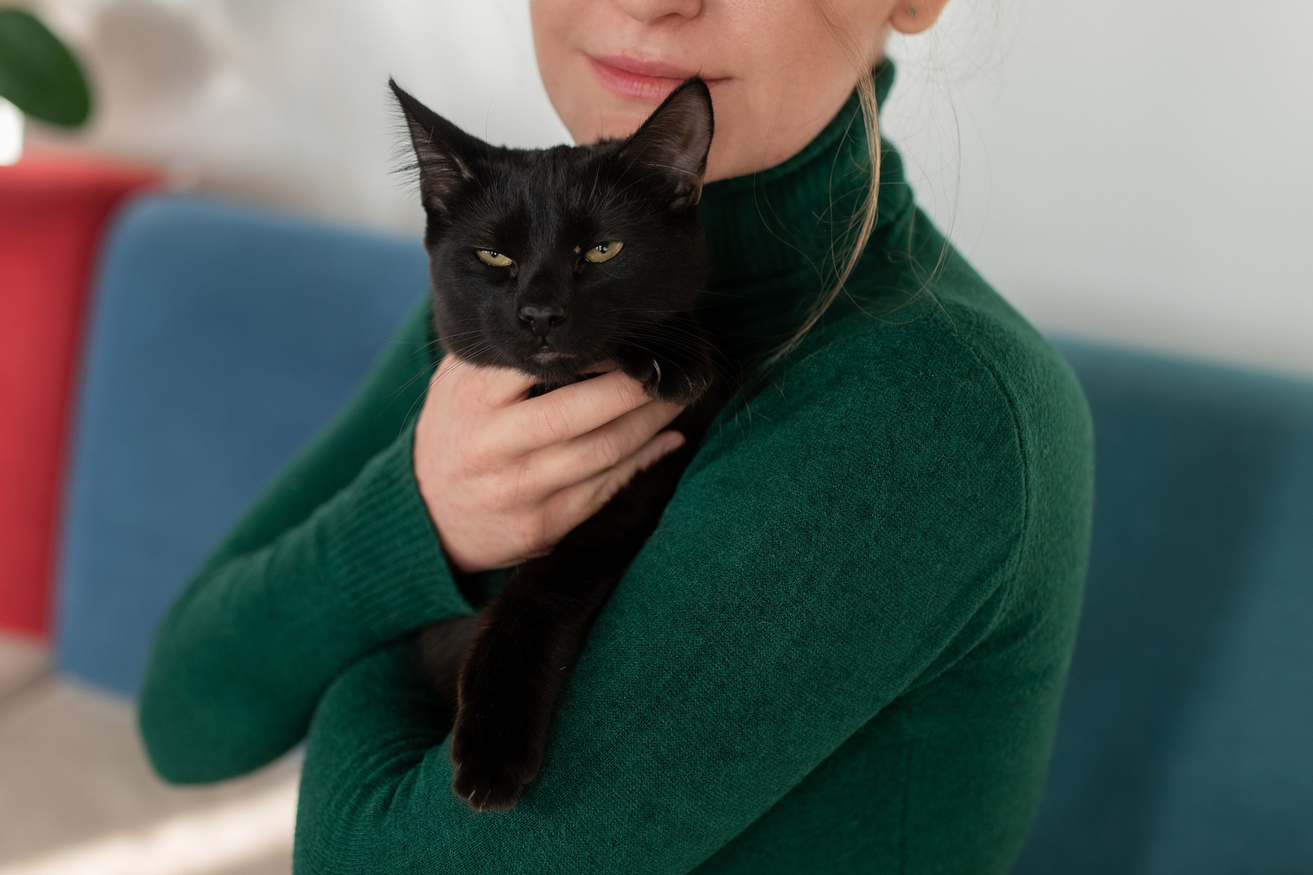 Котики для Old Cat. Профессиональный интерьерный и репортажный фотограф Минск и РБ. Максим Орлов