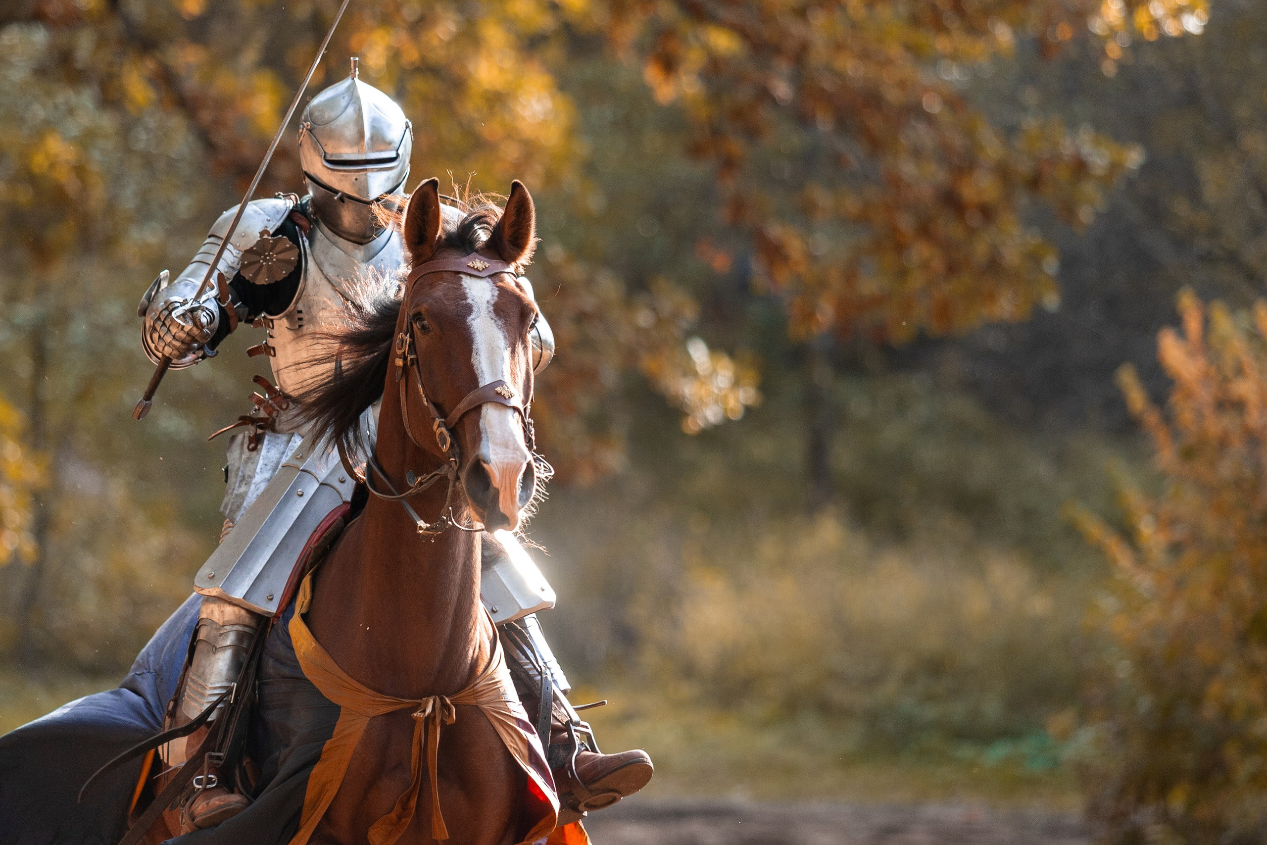 Рыцарская с Афиной. Дима Теслик. Профессиональный интерьерный и репортажный фотограф Минск и РБ. Максим Орлов