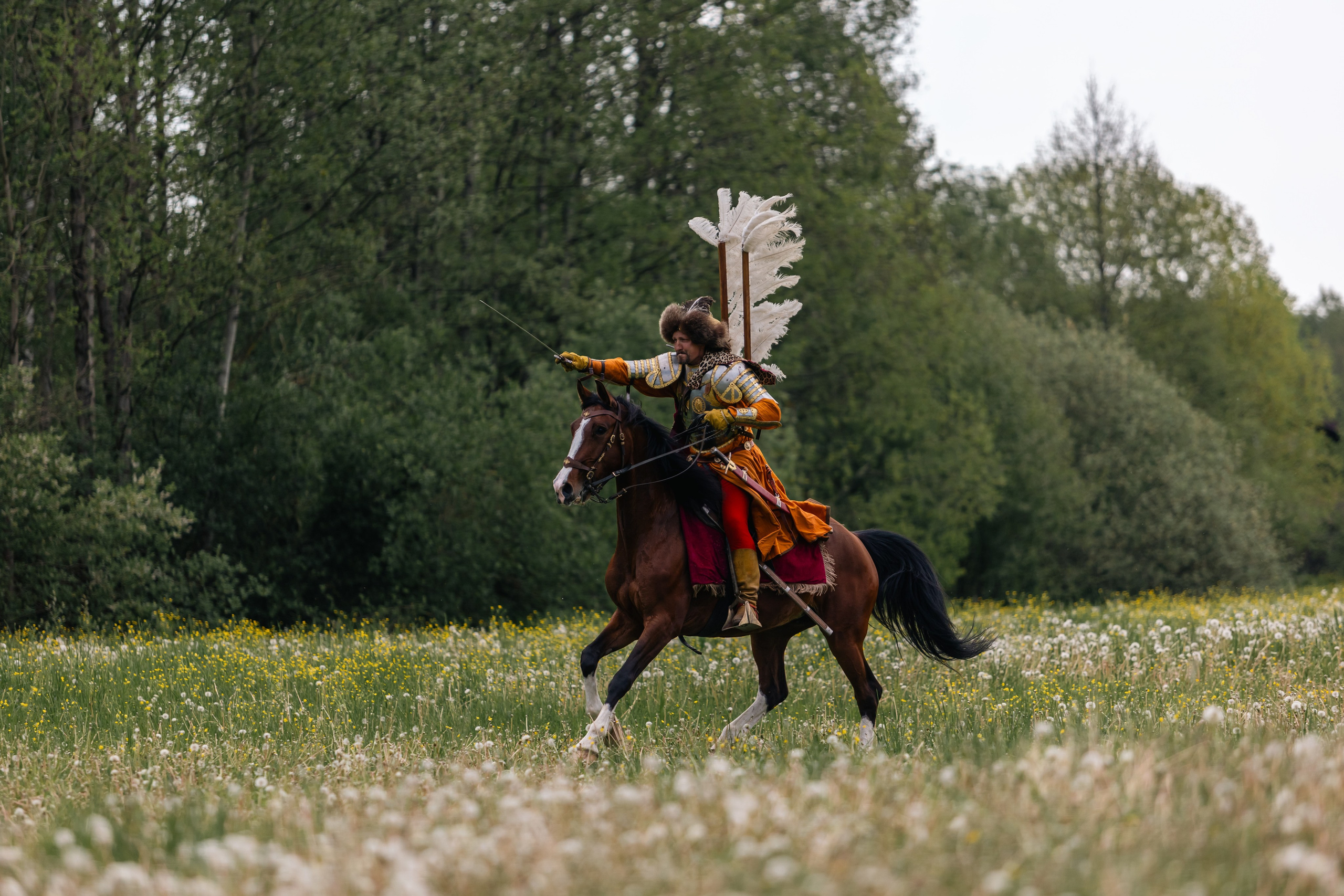 Золотая шпора. Маневры 17 века. Профессиональный интерьерный и репортажный фотограф Минск и РБ. Максим Орлов