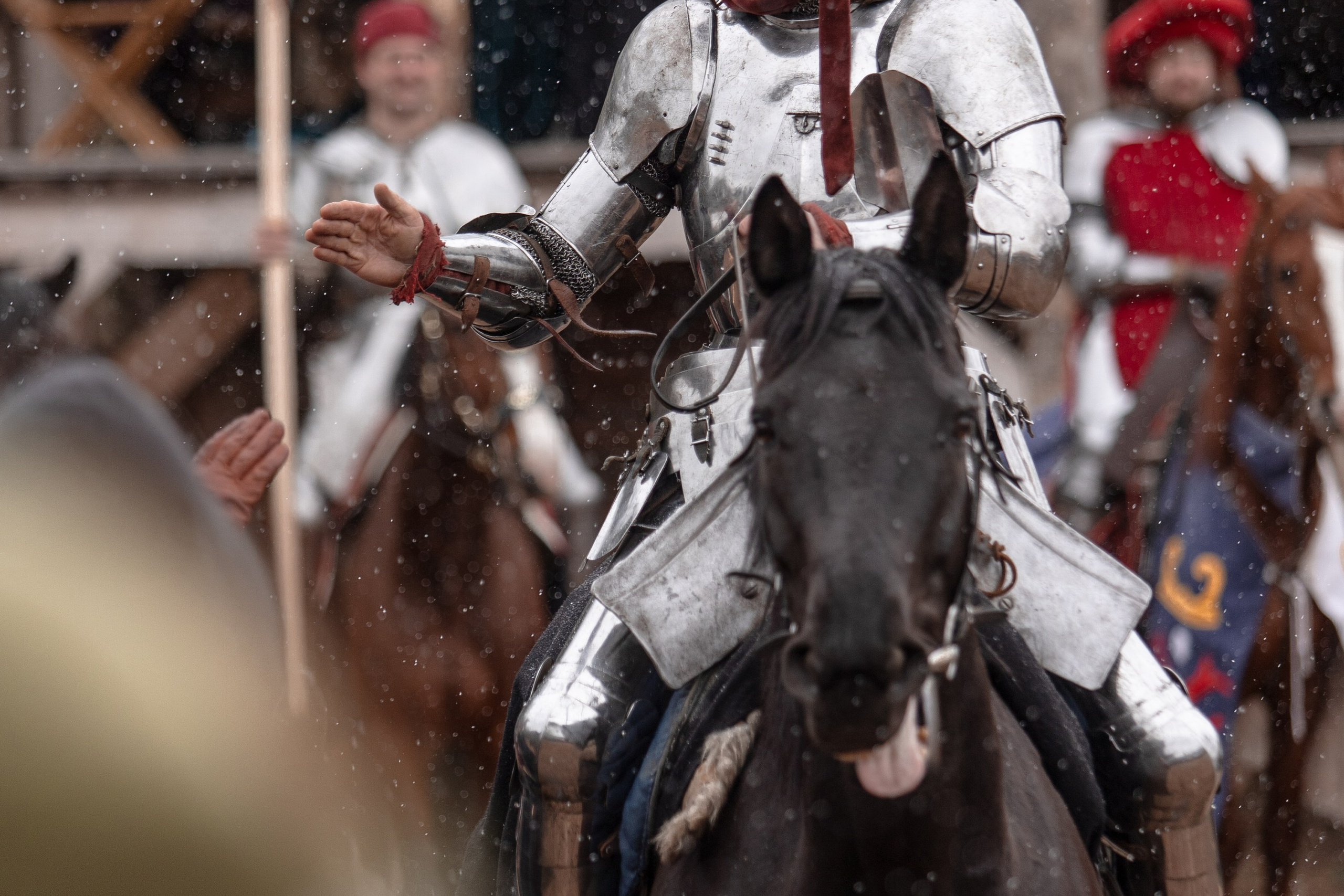 Турнир «Золотой шпоры». Профессиональный интерьерный и репортажный фотограф Минск и РБ. Максим Орлов