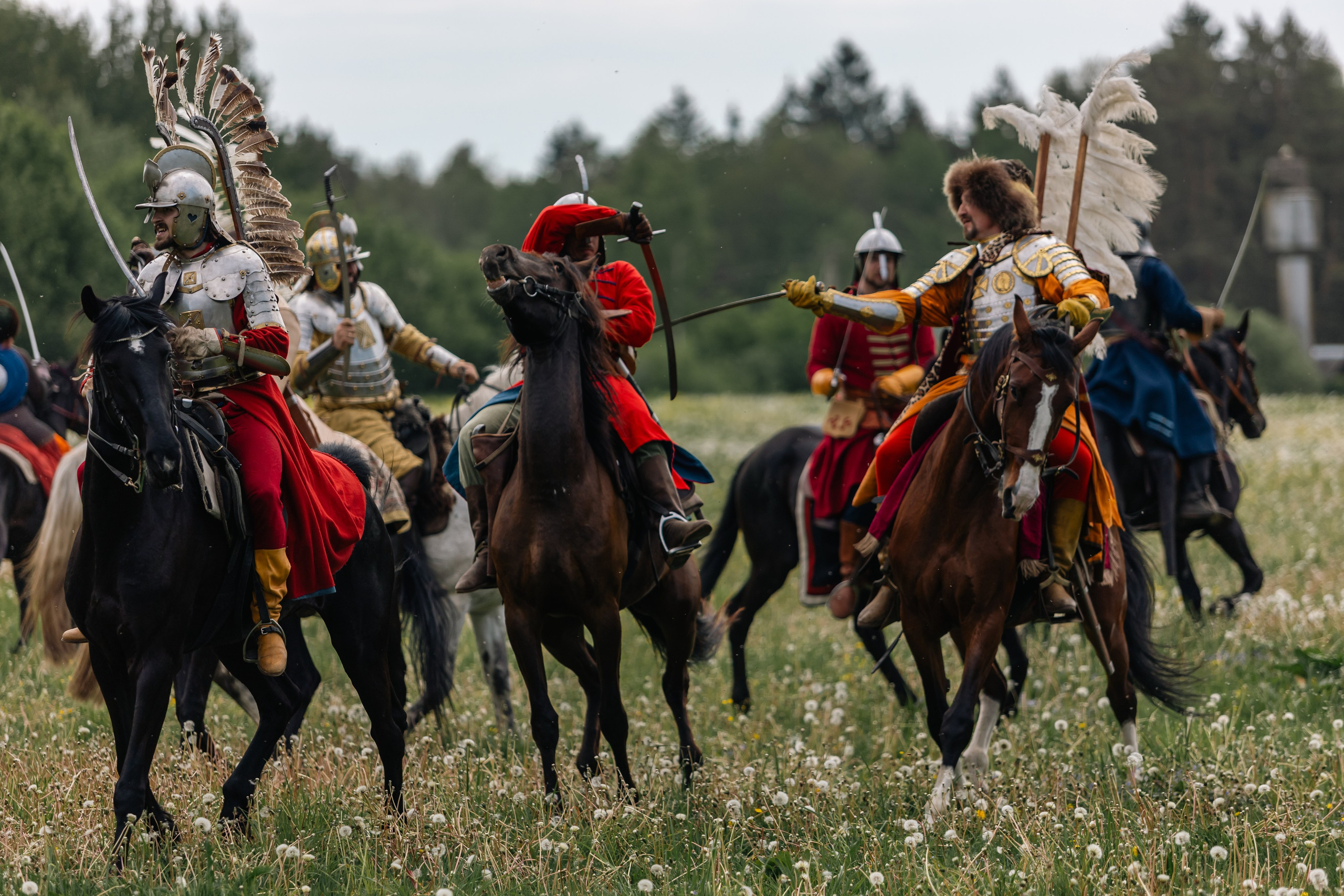 Золотая шпора. Маневры 17 века. Профессиональный интерьерный и репортажный фотограф Минск и РБ. Максим Орлов