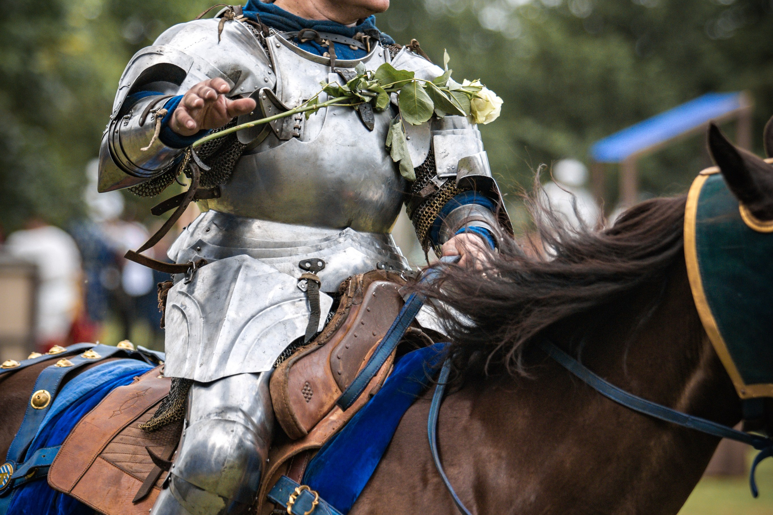 Наш Грюнвальд 2025. Рыцарский турнир. Профессиональный интерьерный и репортажный фотограф Минск и РБ. Максим Орлов