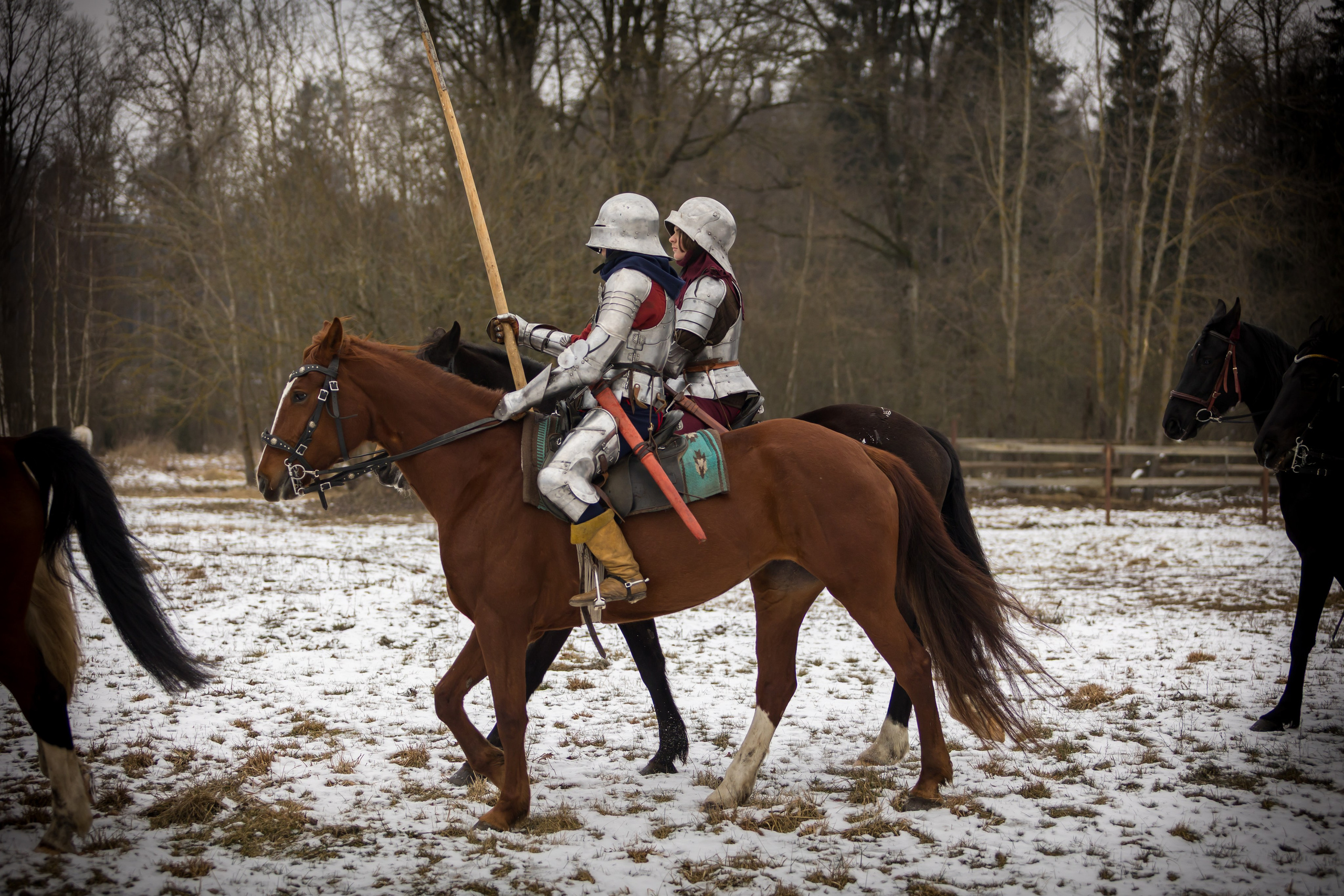Зимние маневры «Золотой шпоры». 2025. Профессиональный интерьерный и репортажный фотограф Минск и РБ. Максим Орлов
