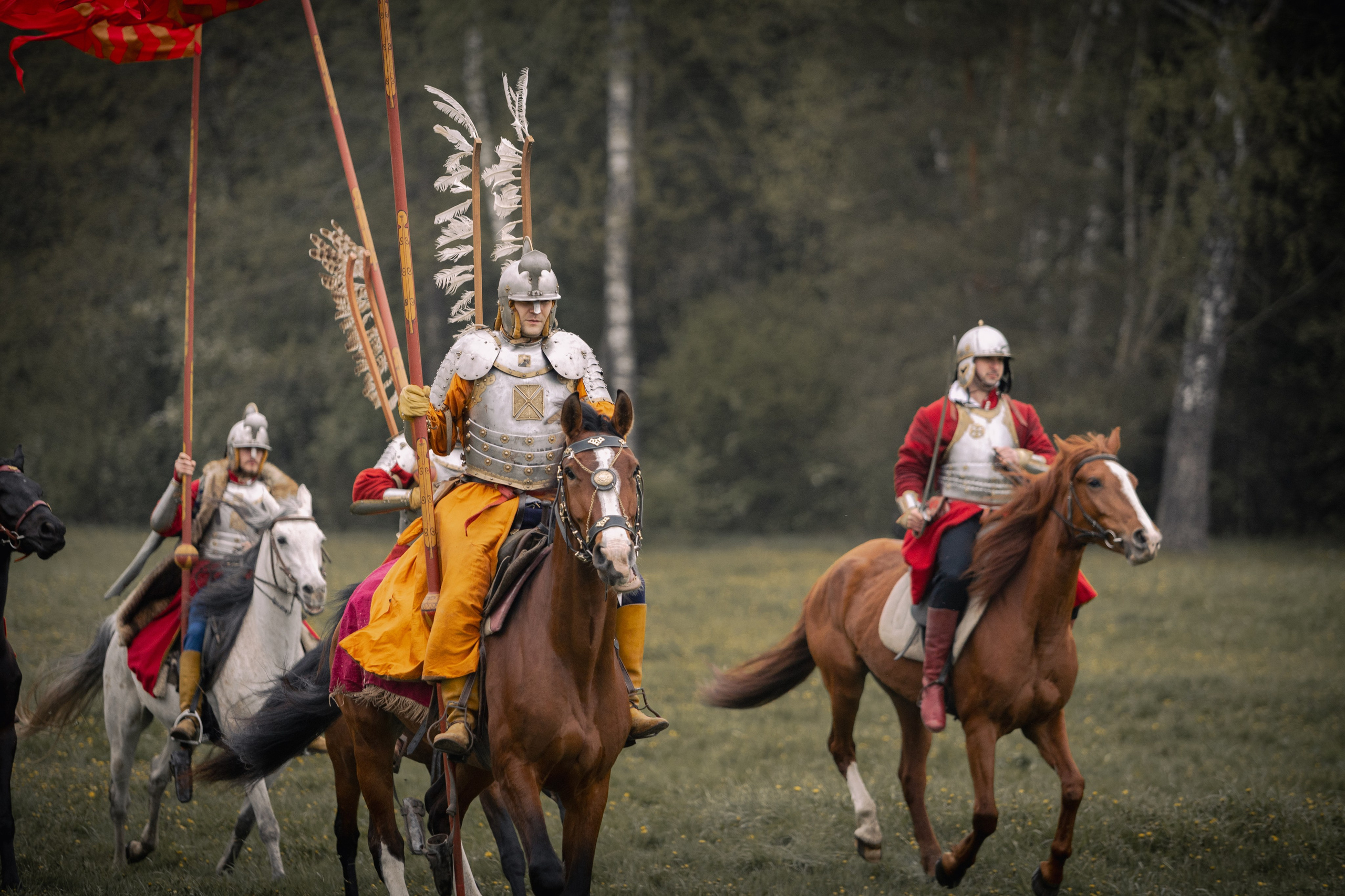 Золотая шпора. Огнем и мечем. День третий. Бой на поле. Профессиональный интерьерный и репортажный фотограф Минск и РБ. Максим Орлов
