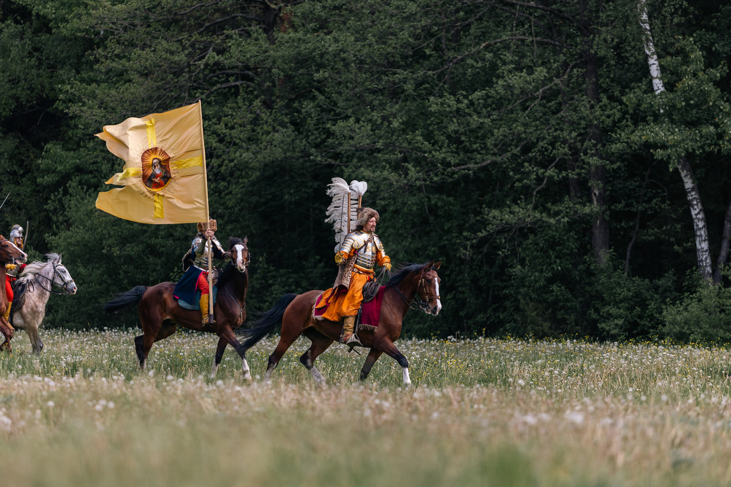 Золотая шпора. Маневры 17 века. Профессиональный интерьерный и репортажный фотограф Минск и РБ. Максим Орлов