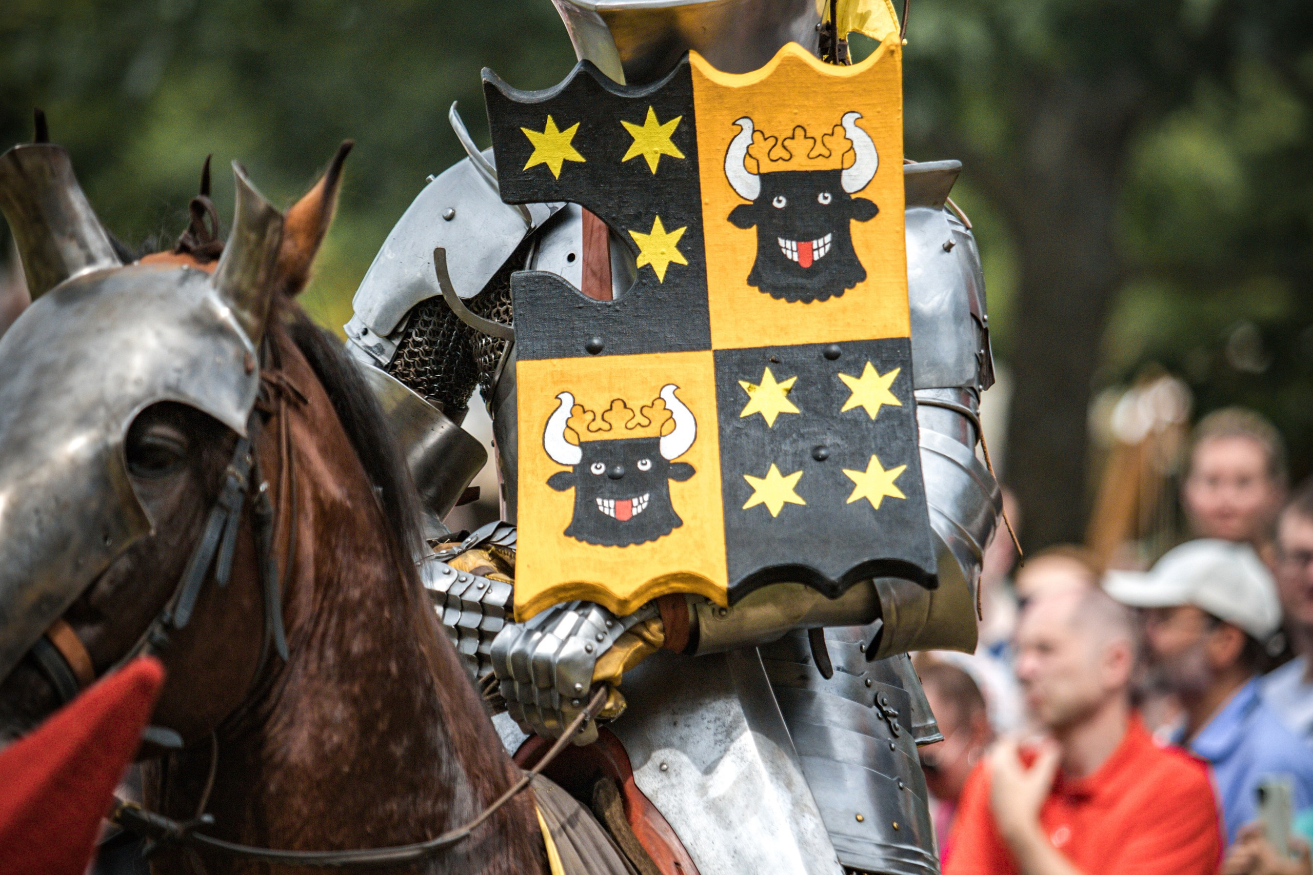 Наш Грюнвальд 2025. Рыцарский турнир. Профессиональный интерьерный и репортажный фотограф Минск и РБ. Максим Орлов