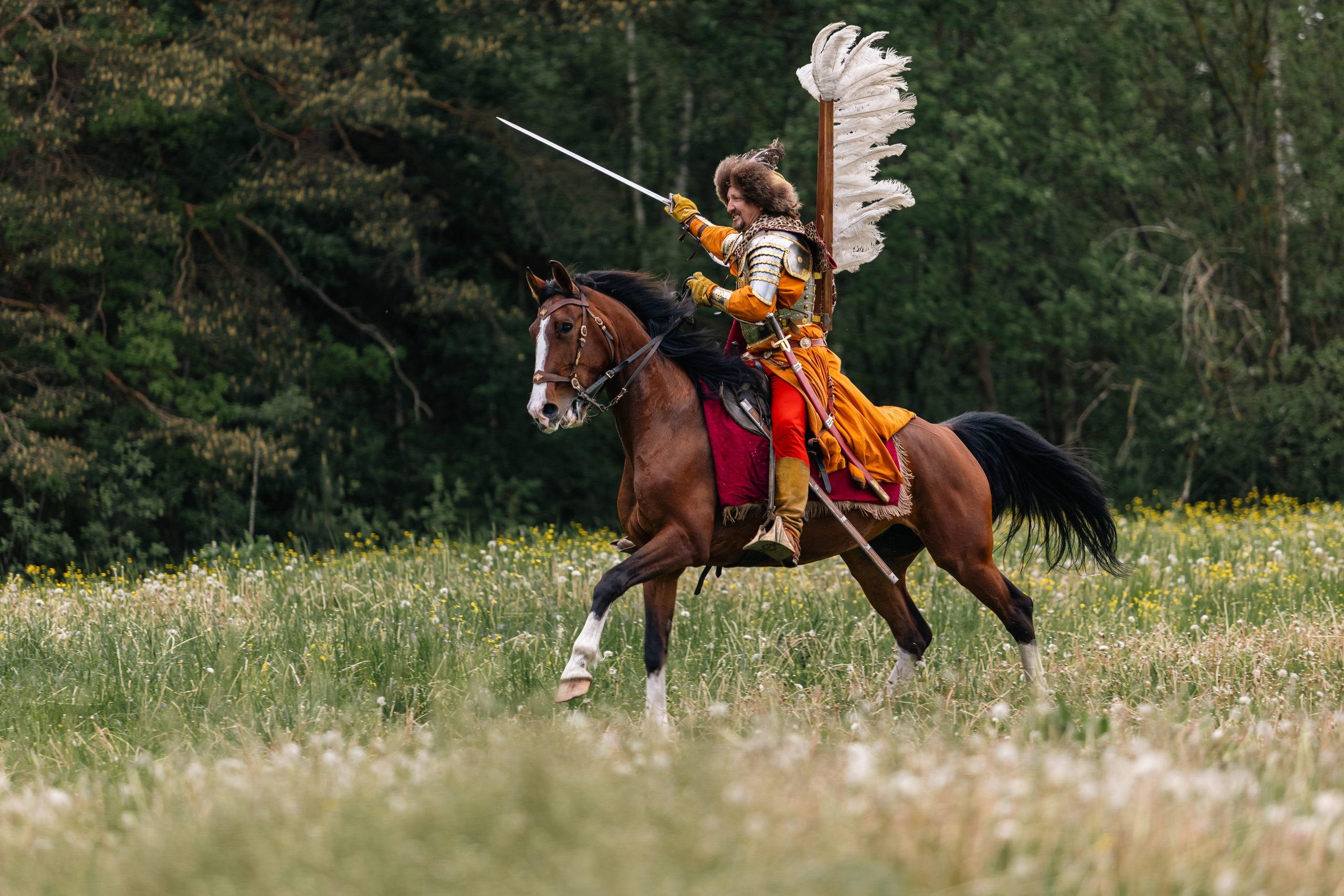Золотая шпора. Маневры 17 века. Профессиональный интерьерный и репортажный фотограф Минск и РБ. Максим Орлов