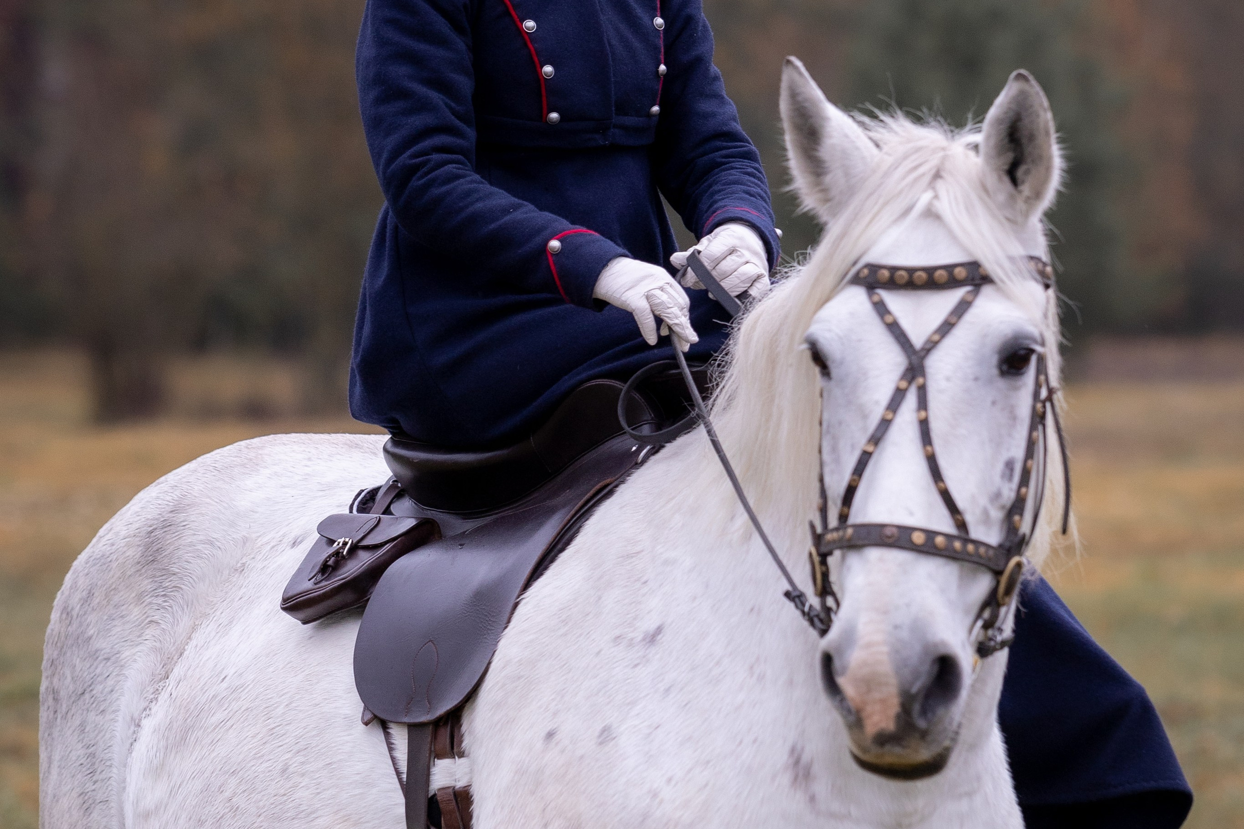 Ампирный выезд. Профессиональный интерьерный и репортажный фотограф Минск и РБ. Максим Орлов